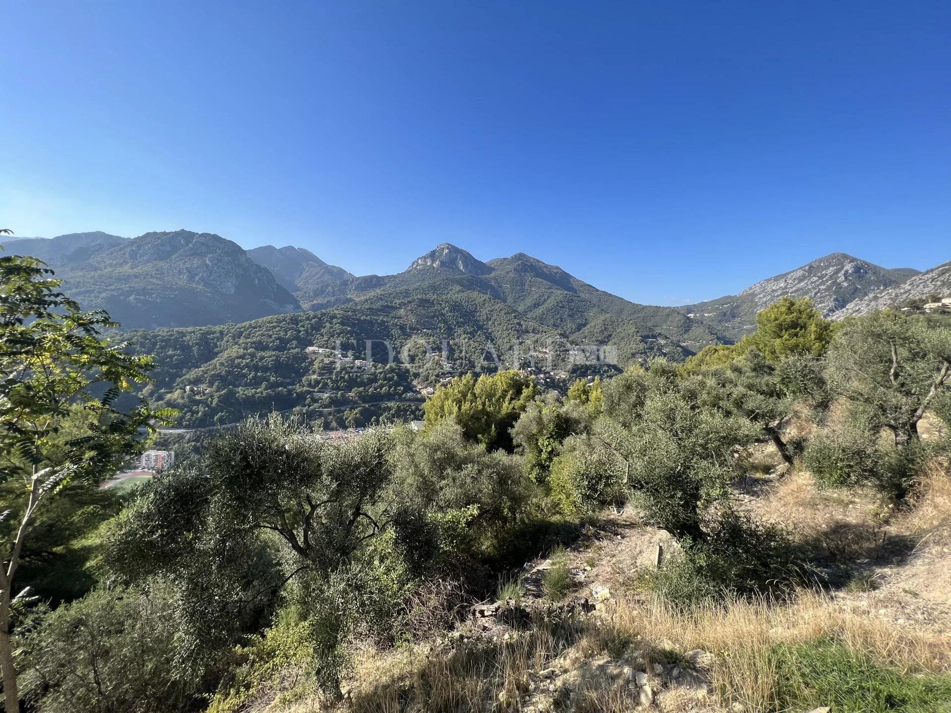 casa en Castellar, Provence-Alpes-Côte d'Azur 10898826