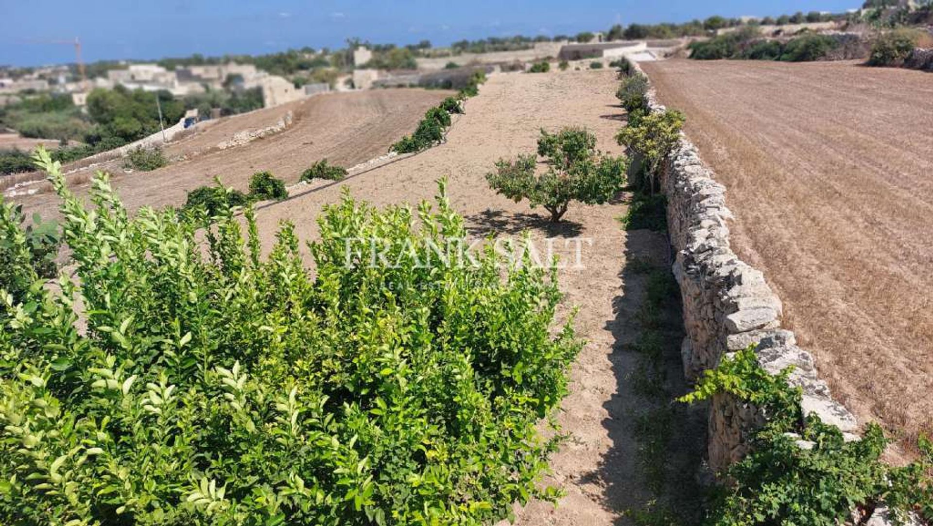 Hus i Zebbug, Zebbug 10898969