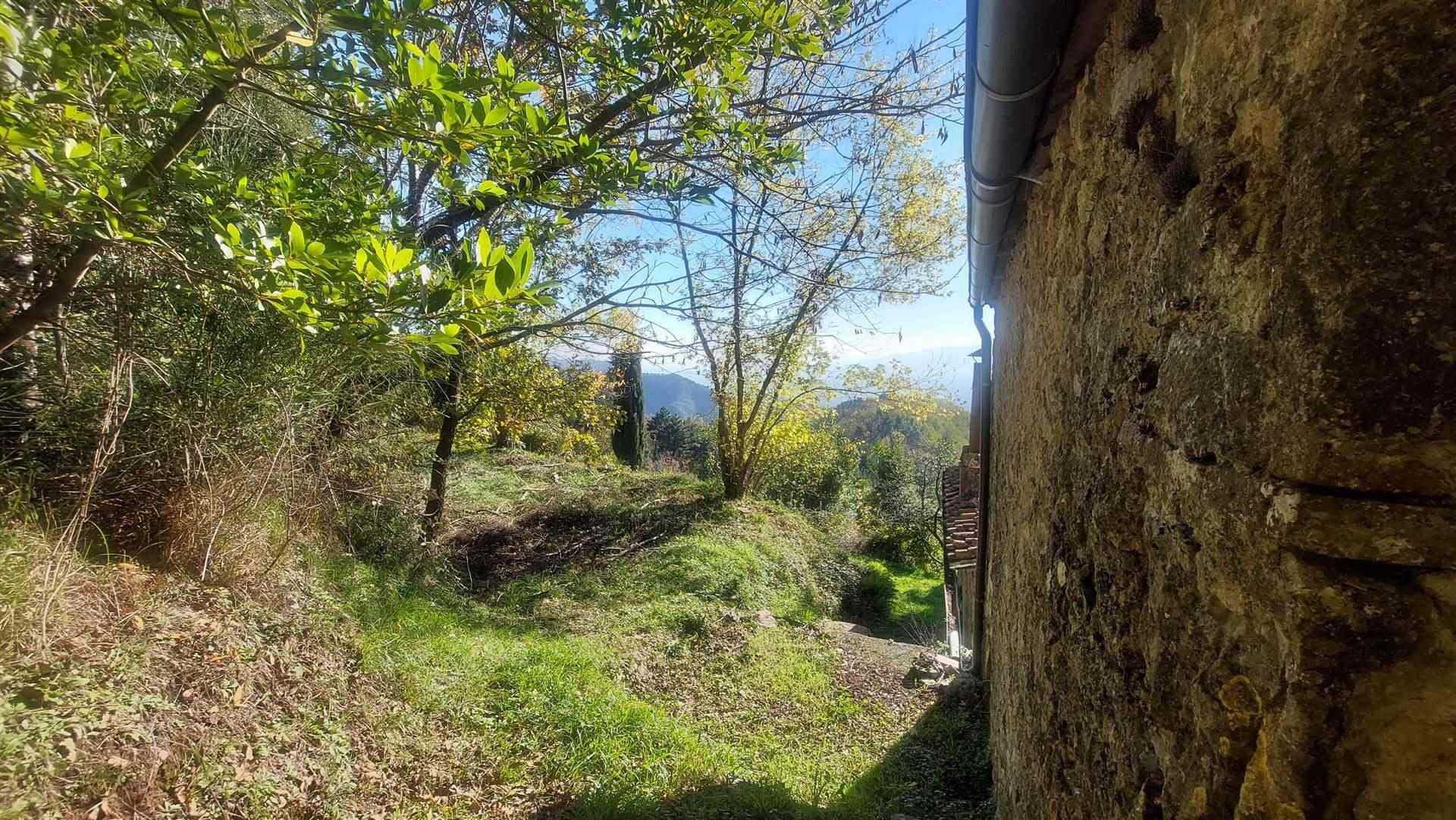 rumah dalam Pieve di Brancoli, Toscana 10899151