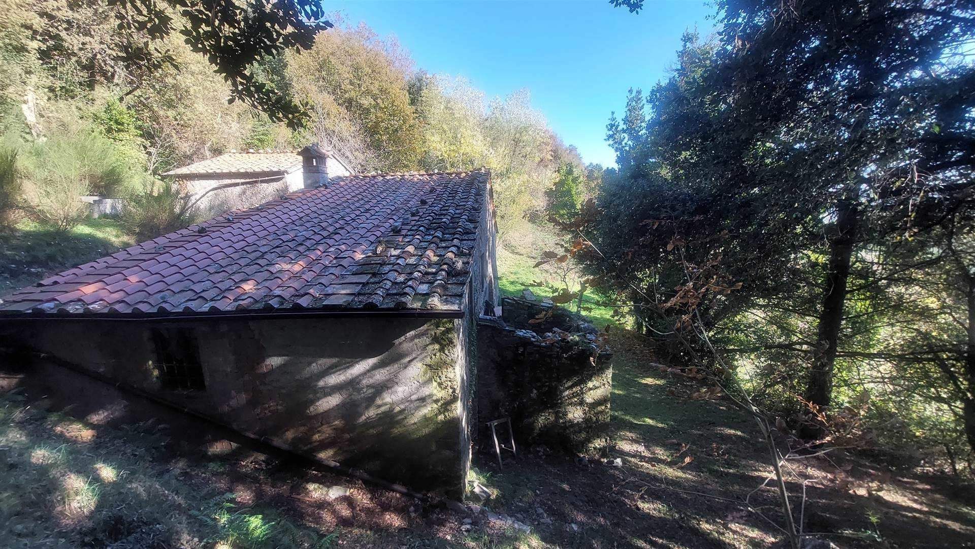 rumah dalam Pieve di Brancoli, Toscana 10899151