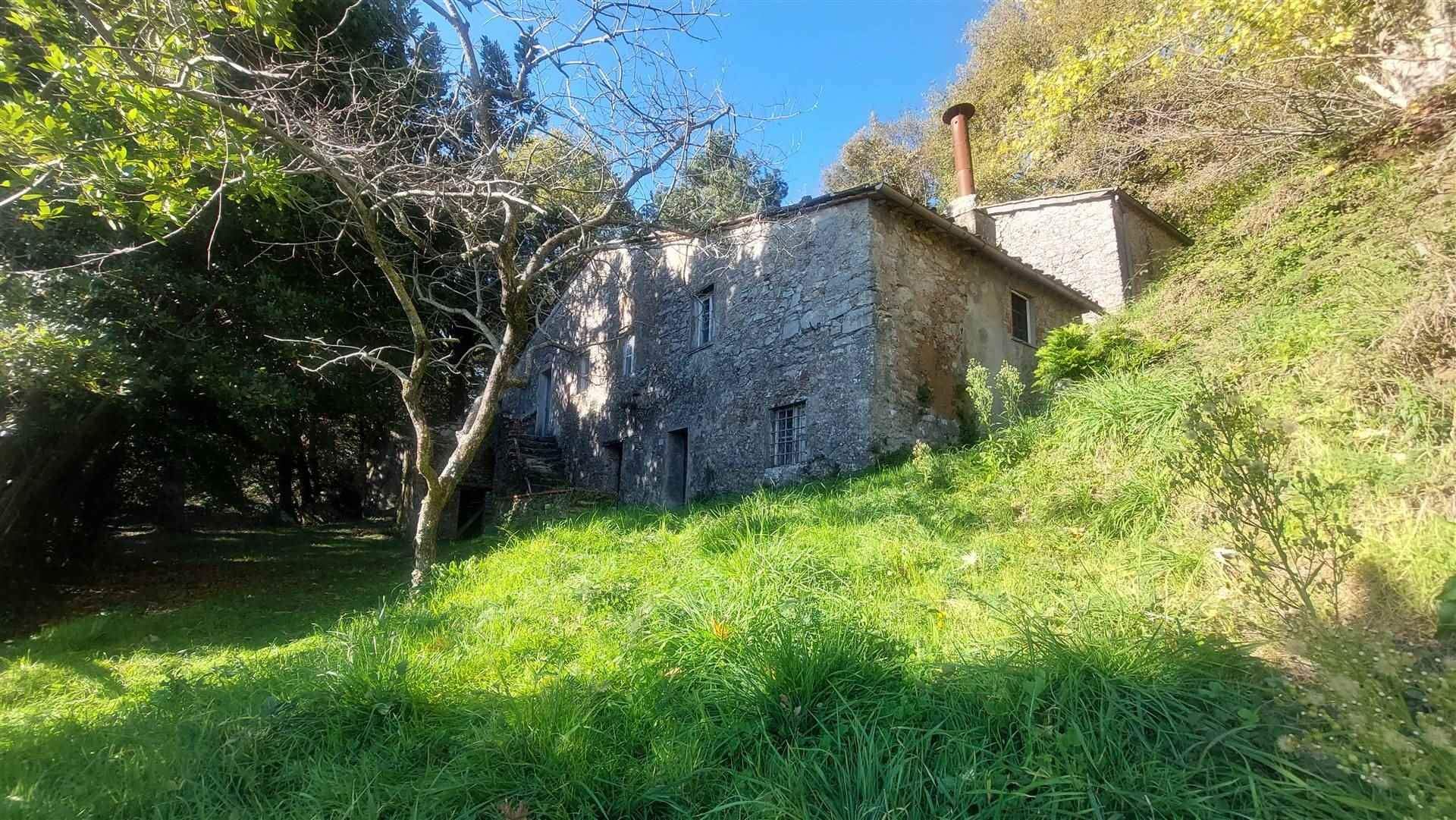 rumah dalam Pieve di Brancoli, Toscana 10899151