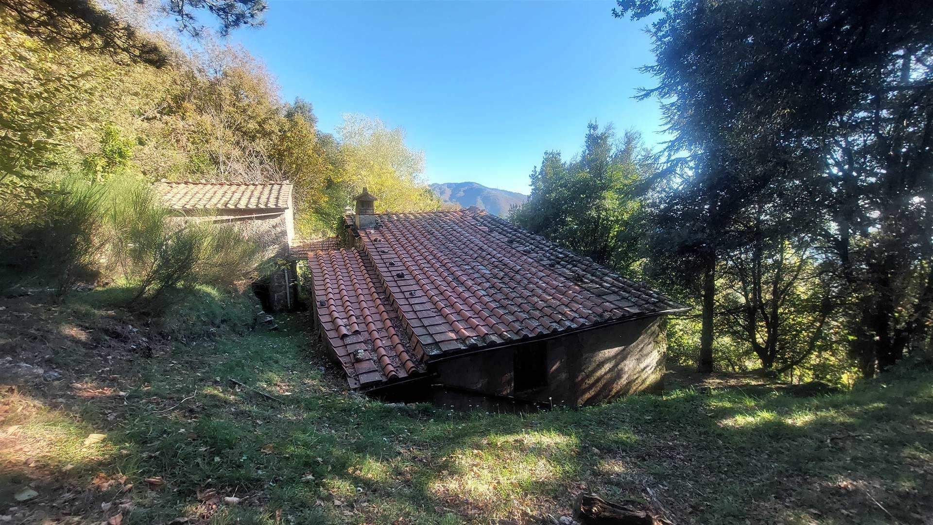 rumah dalam Pieve di Brancoli, Toscana 10899151