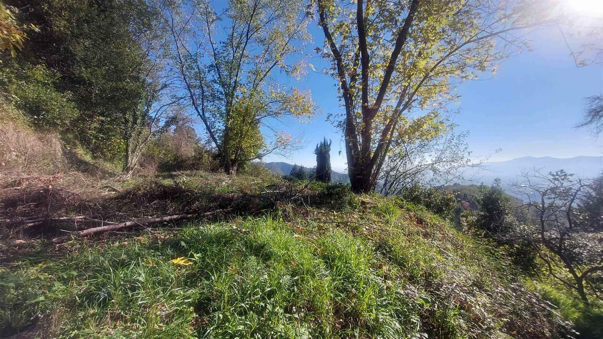 rumah dalam Pieve di Brancoli, Toscana 10899151