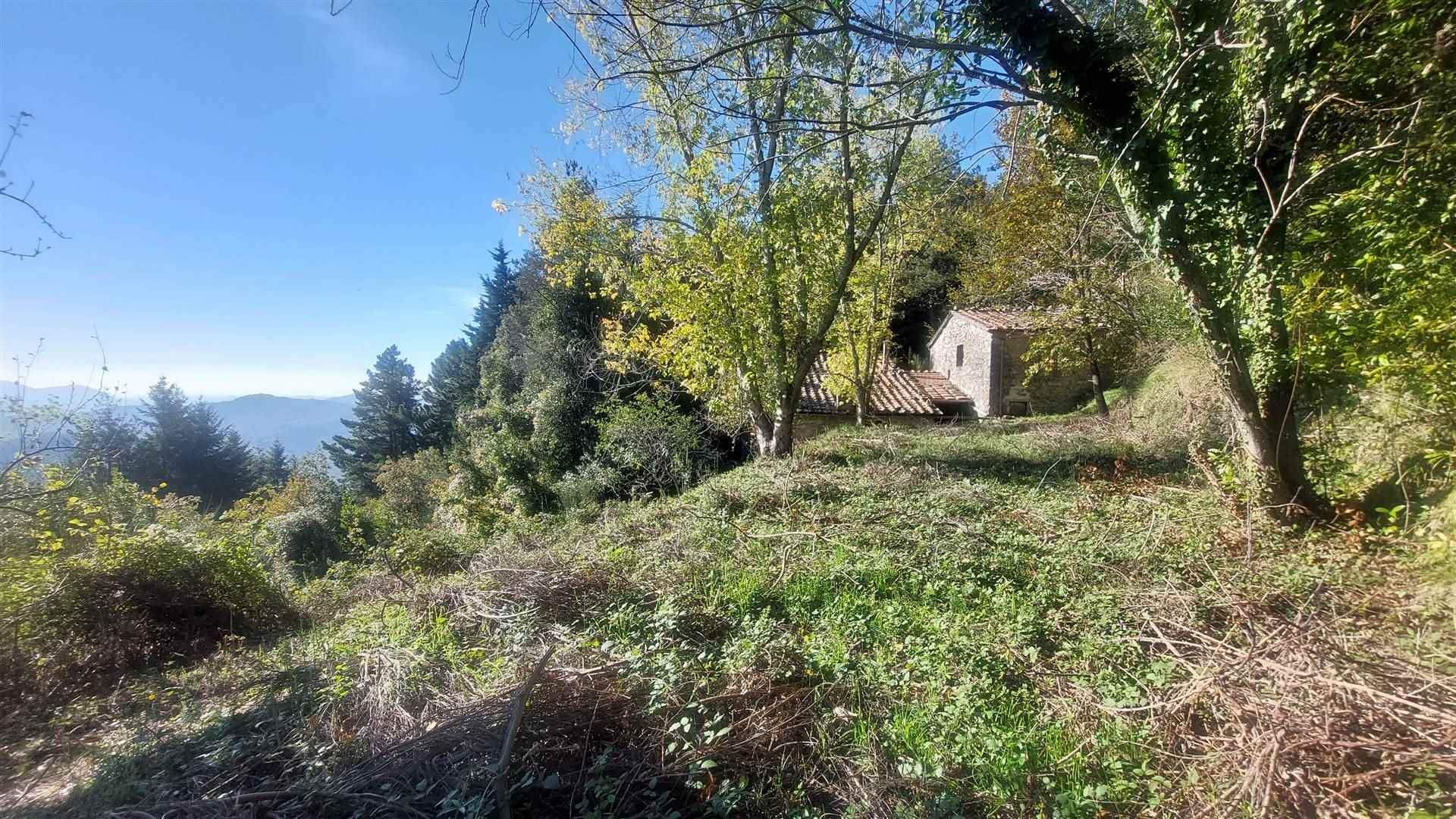 rumah dalam Pieve di Brancoli, Toscana 10899151