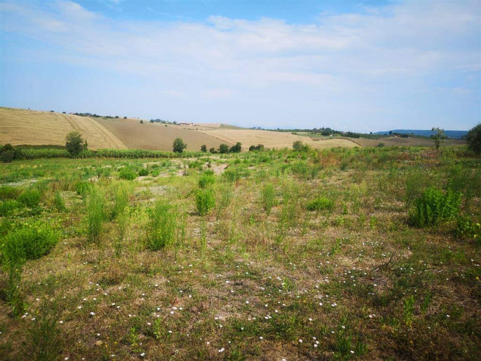 土地 在 Santa Luce, Toscana 10899153