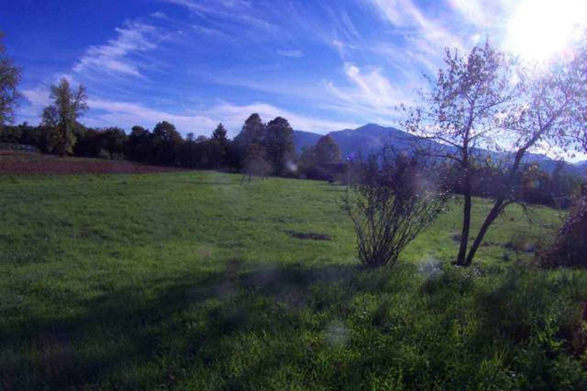 Land im Barga, Toscana 10899167