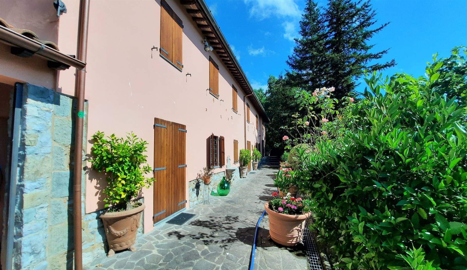 Haus im Barga, Toskana 10899181