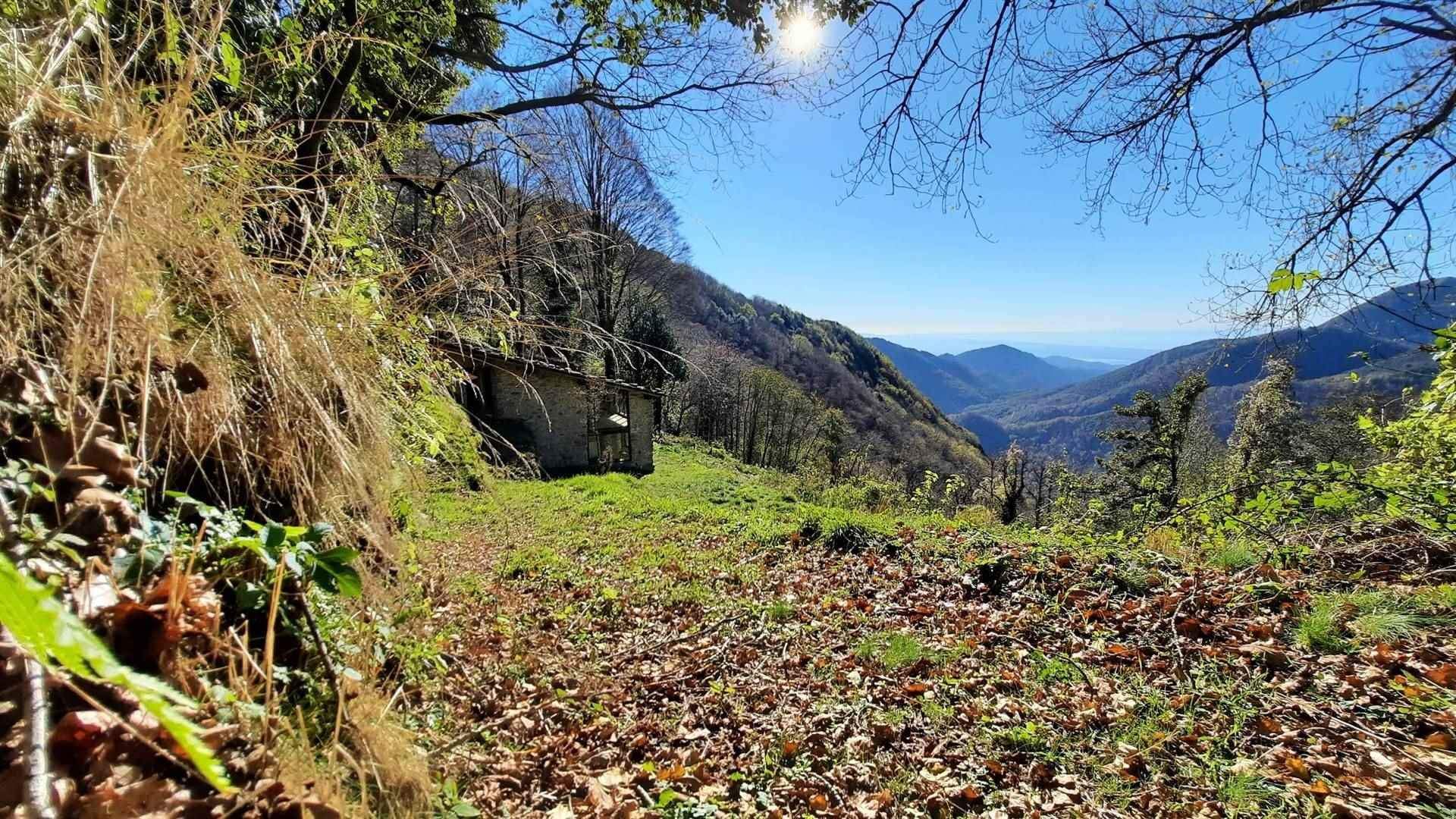 жилой дом в Pescaglia, Toscana 10899237