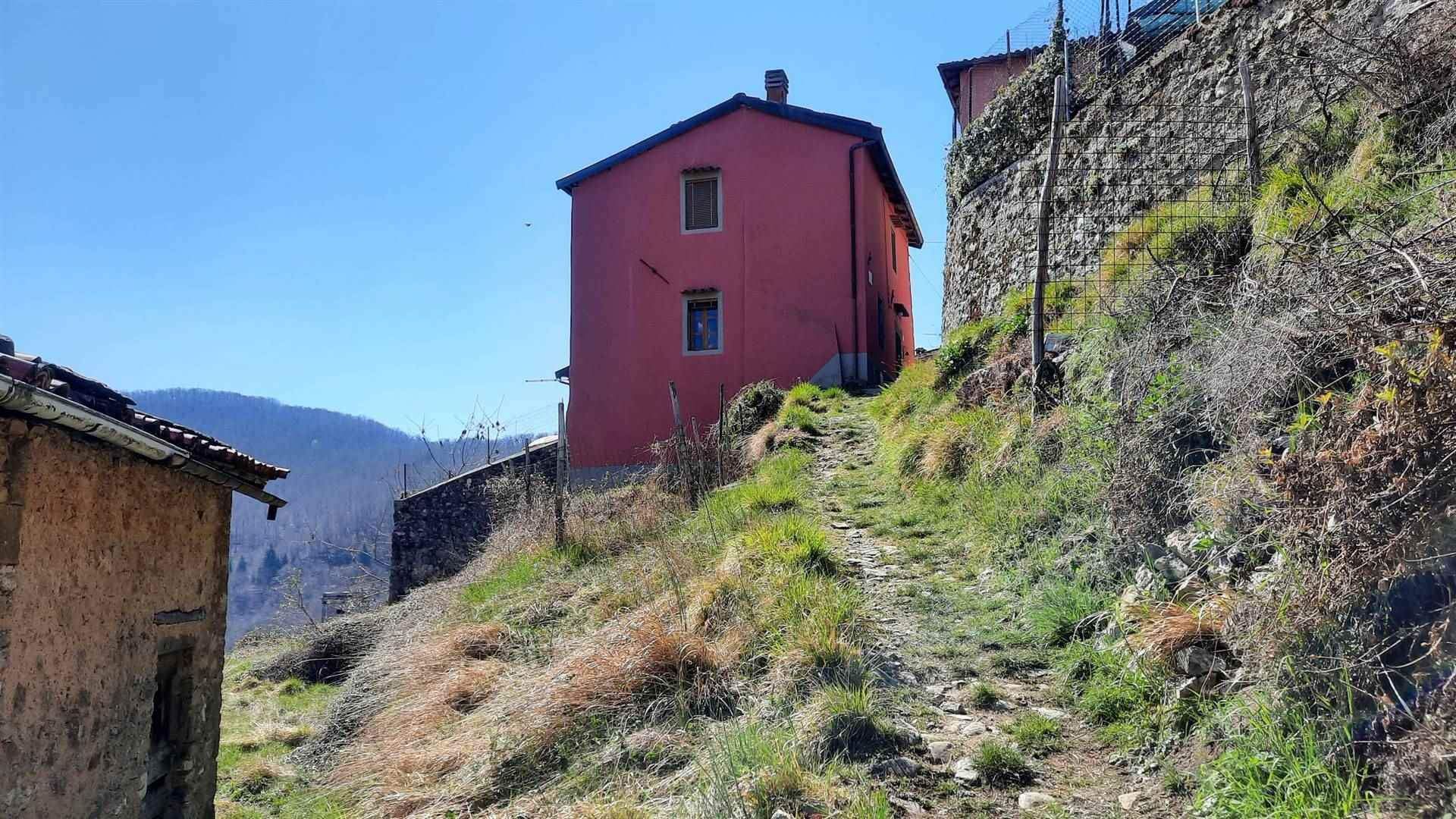 Haus im Gallicano, Toscana 10899240