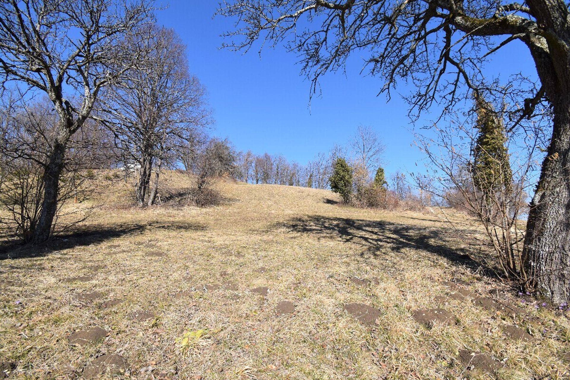 Land in , Šentjur 10899512