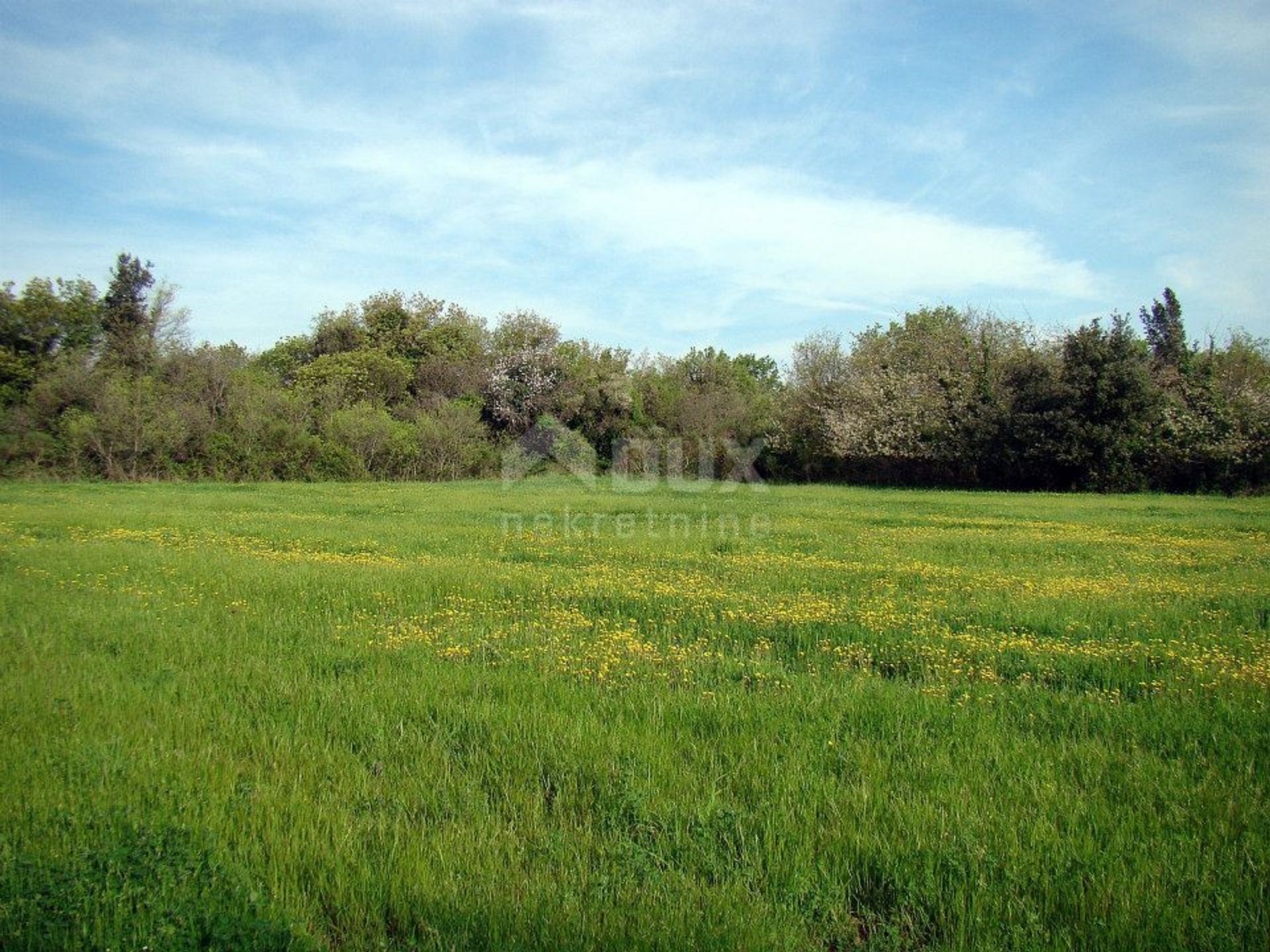 ארץ ב Zminj, Istarska Zupanija 10899677