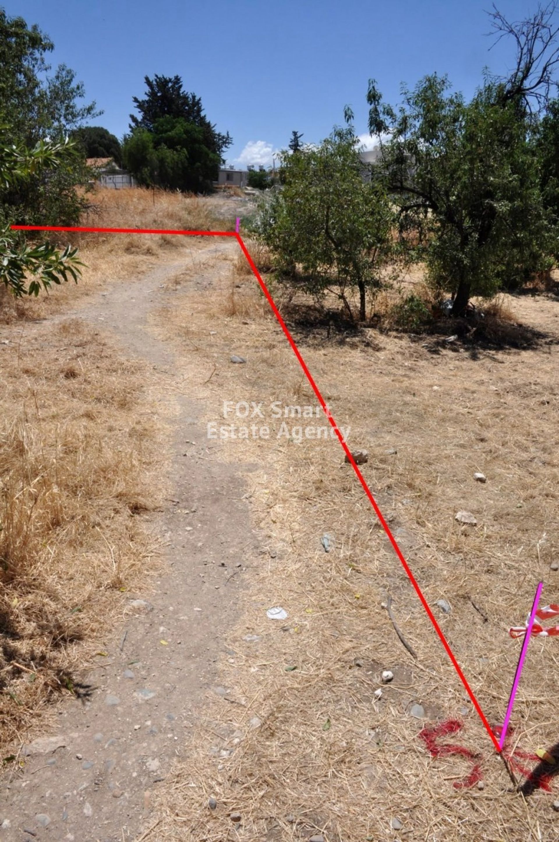 Tanah dalam Polis, Pafos 10899702