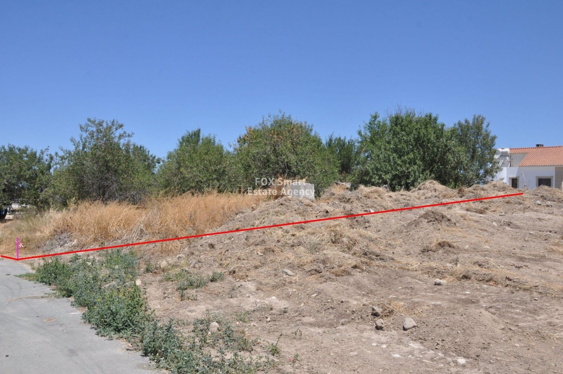 Tanah dalam Polis, Pafos 10899702