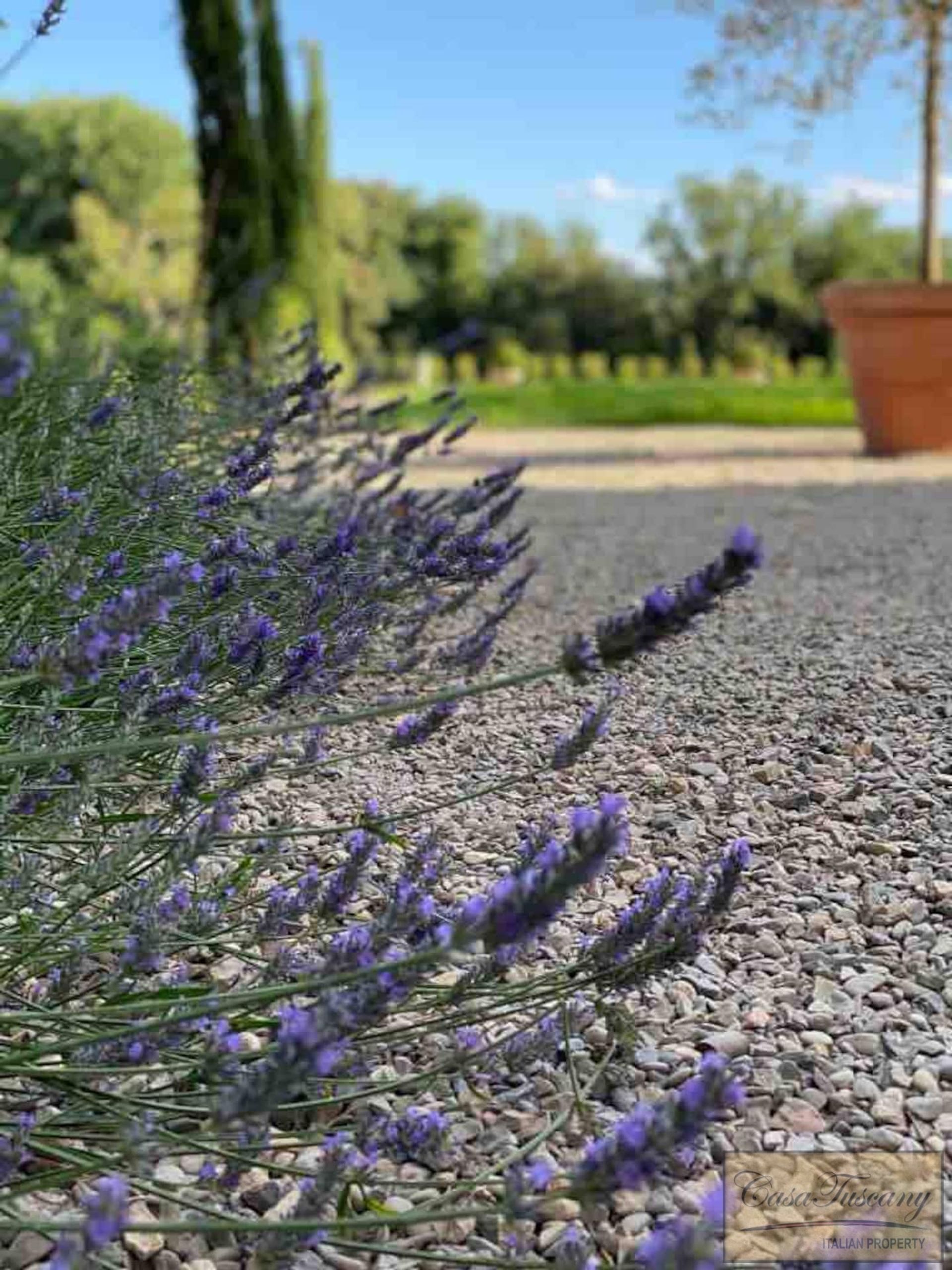 집 에 Castiglione del Lago, Umbria 10899763