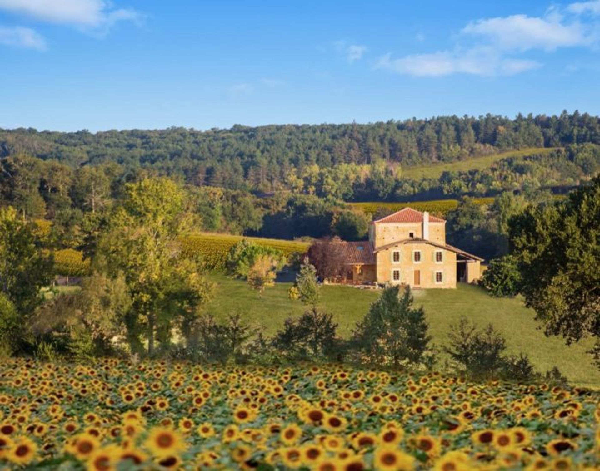 Dom w Vic-Fezensac, Occitanie 10899831