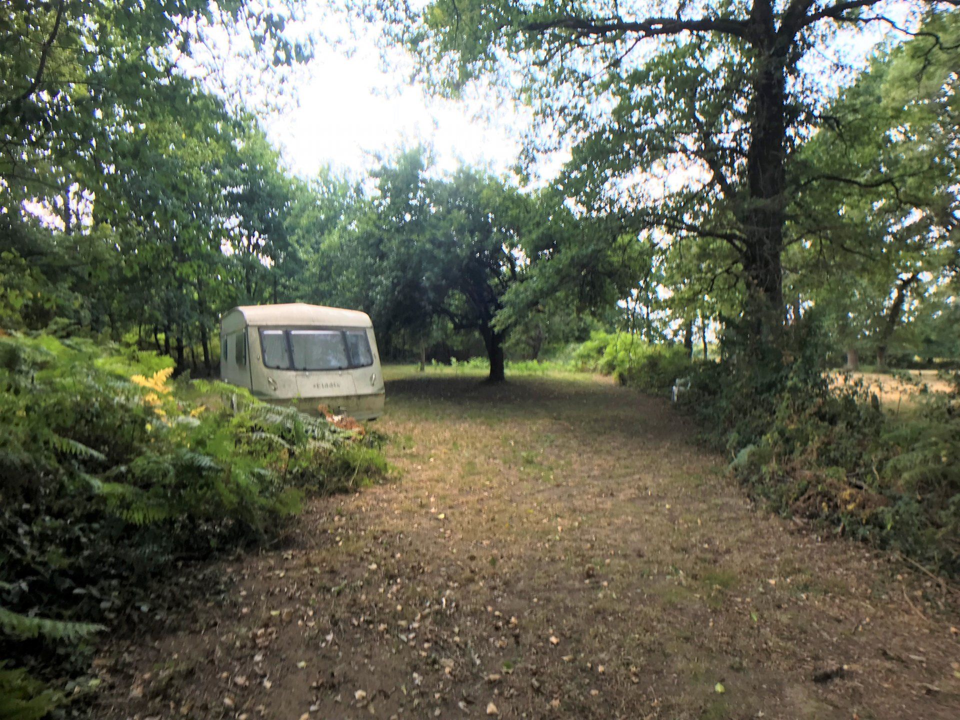 casa en Le Dorat, Nouvelle-Aquitaine 10900471