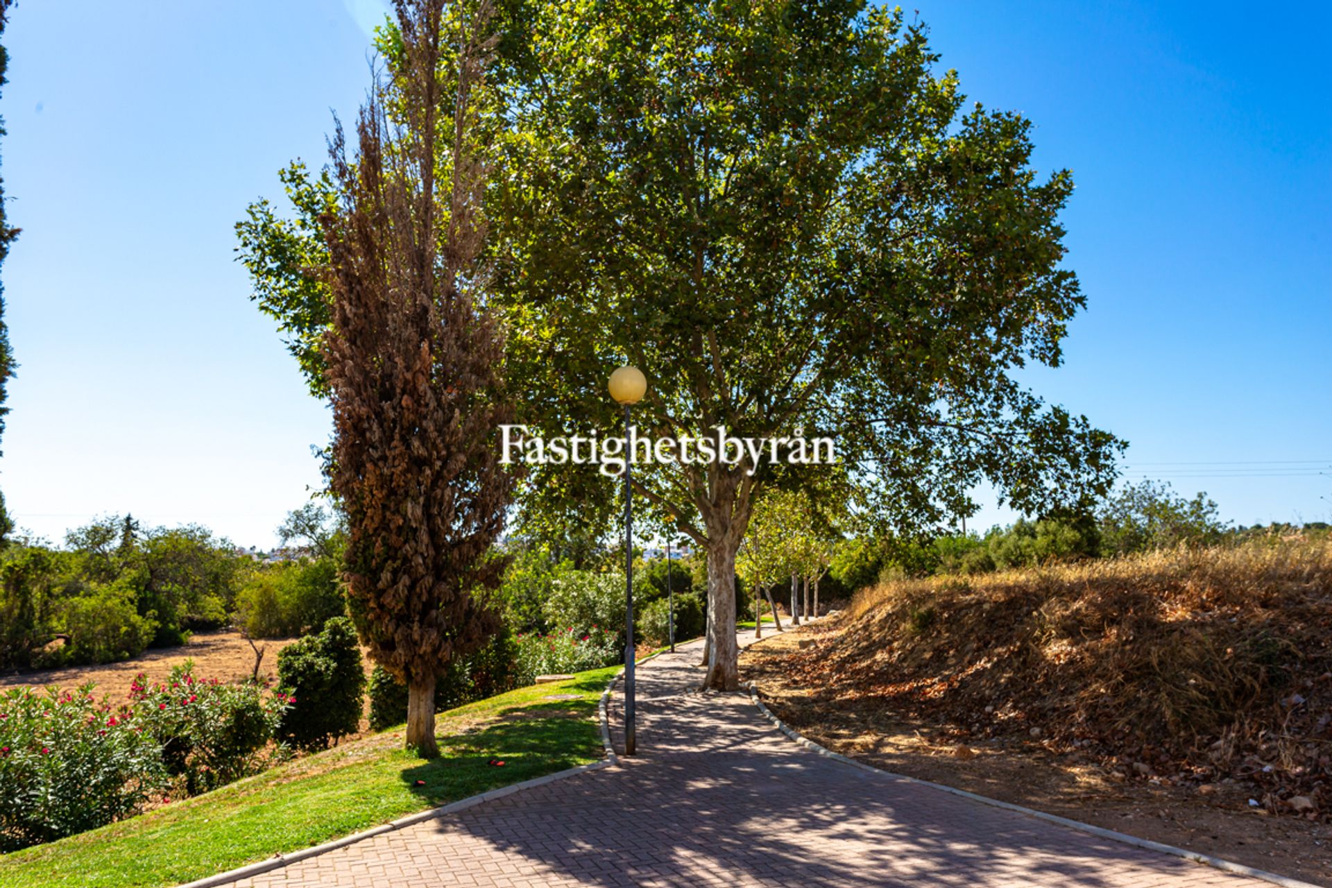 Condominium in Tavira, Faro District 10900911