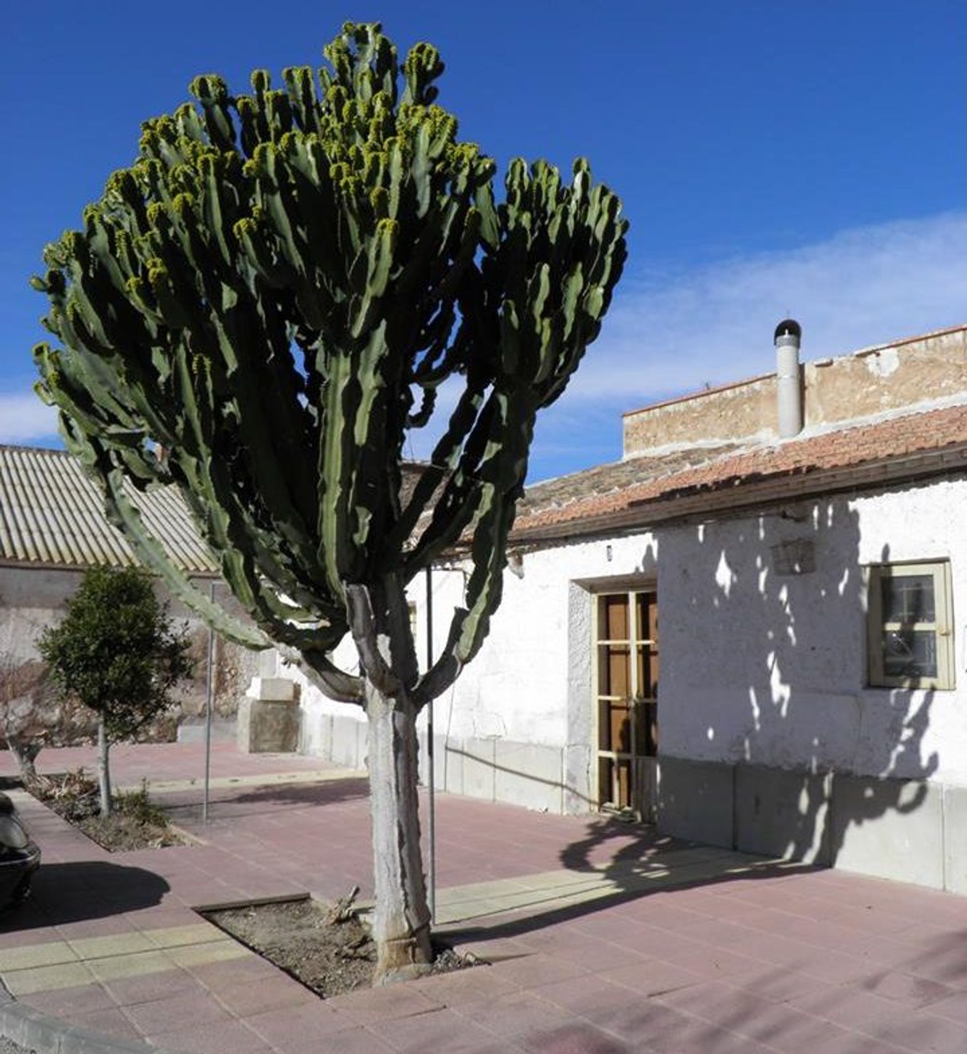 Casa nel Corvera, Región de Murcia 10901224