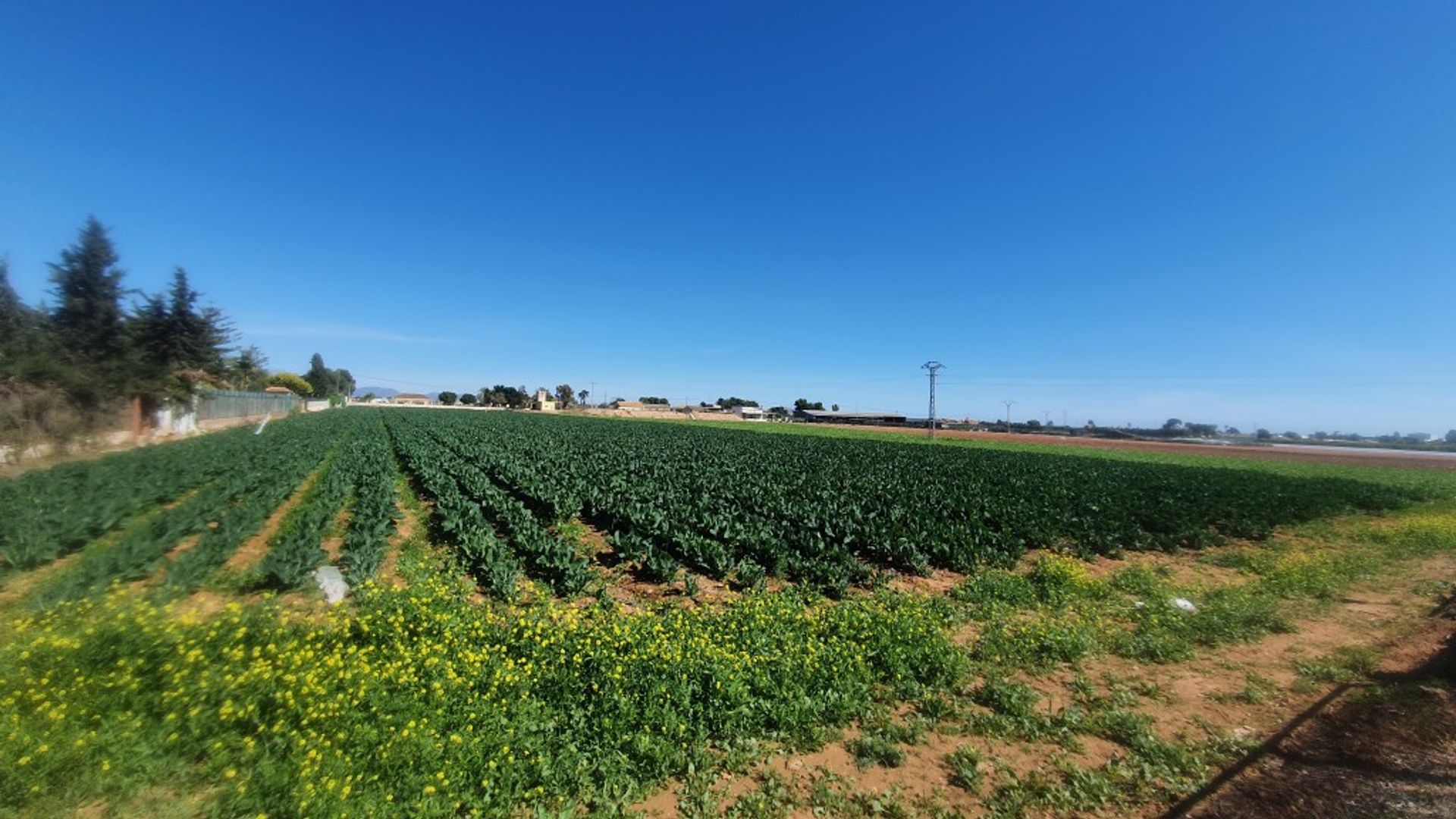 بيت في , Region of Murcia 10901622