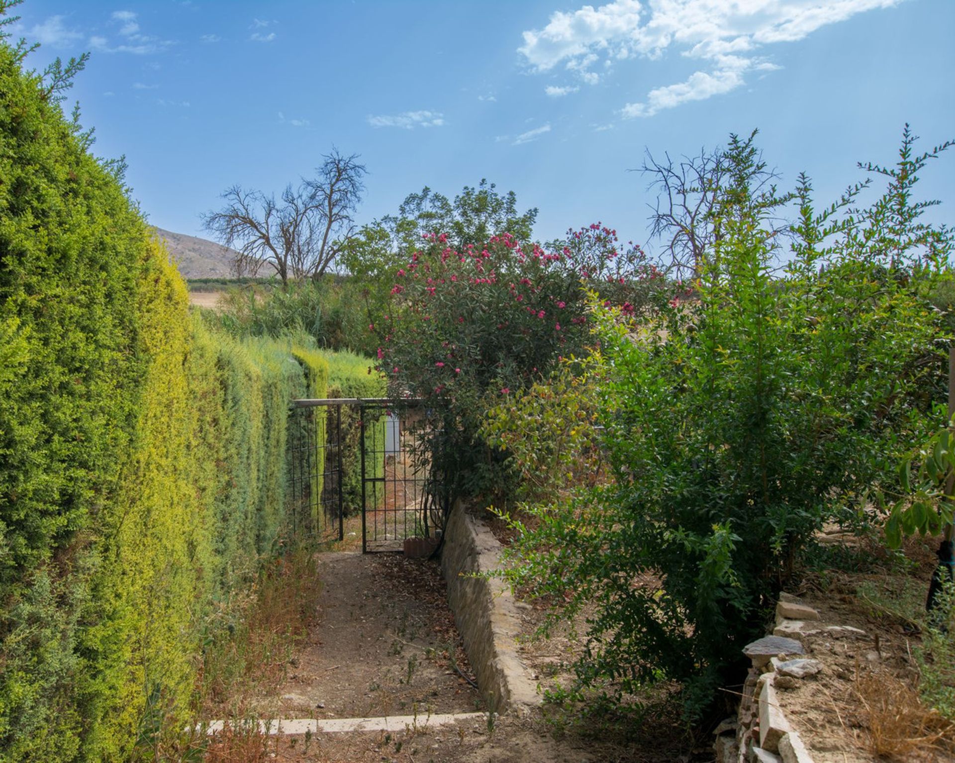 rumah dalam Alhaurín el Grande, Andalucía 10902660