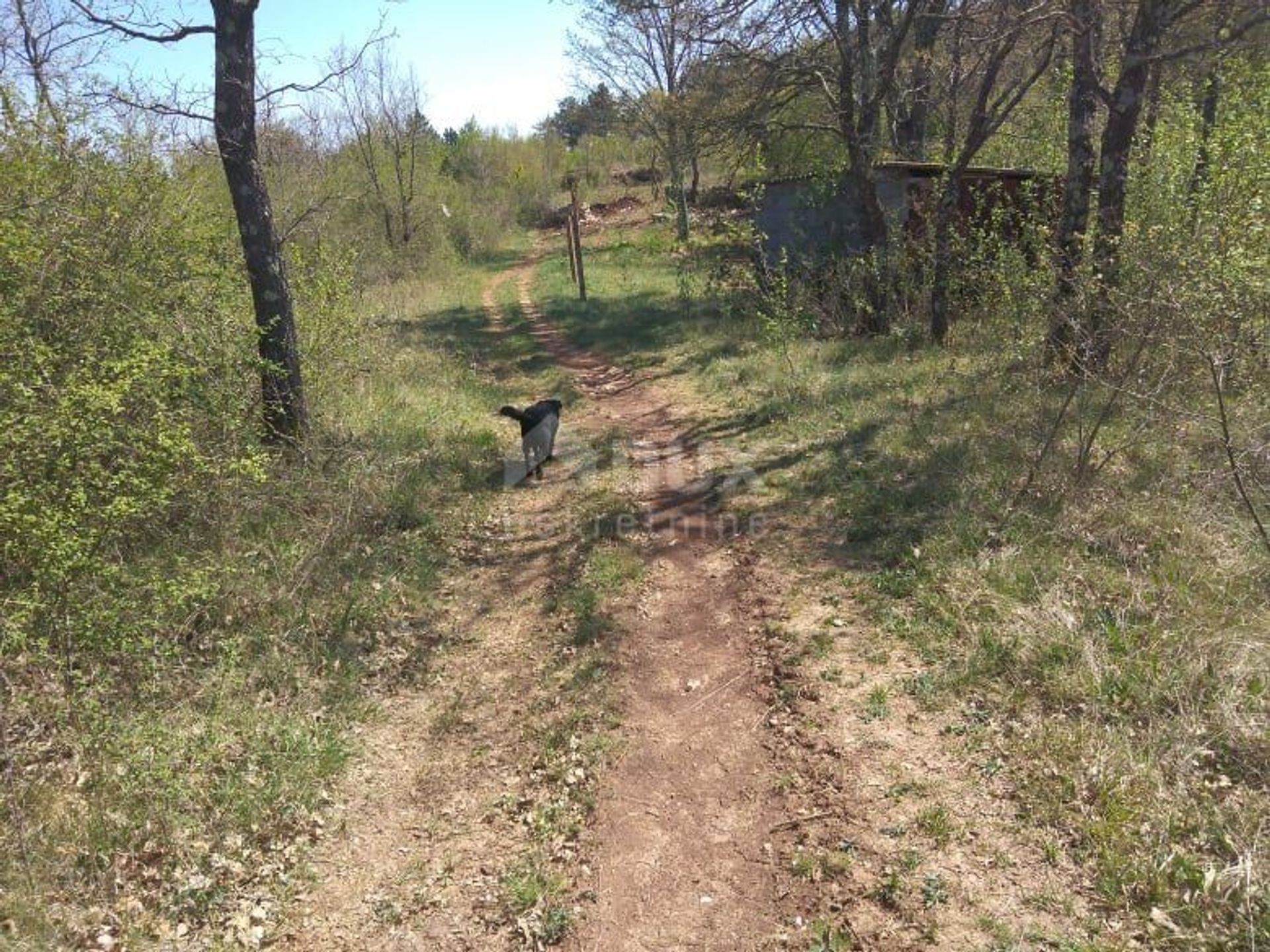 Land in Manjadvorci, Istarska županija 10905277