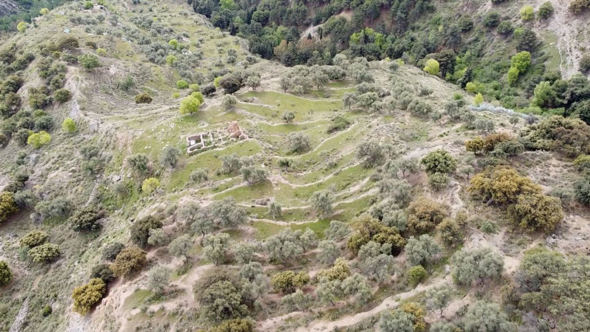 casa no Canar, Andaluzia 10905989