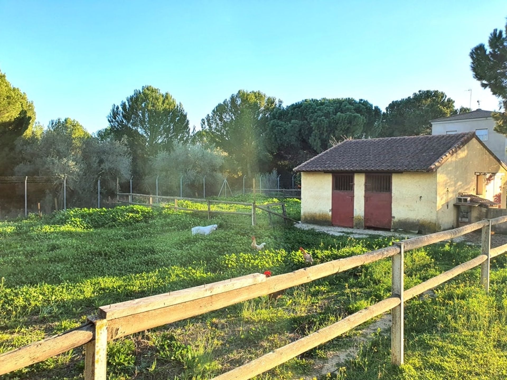 loger dans Hinojos, Andalucía 10905996