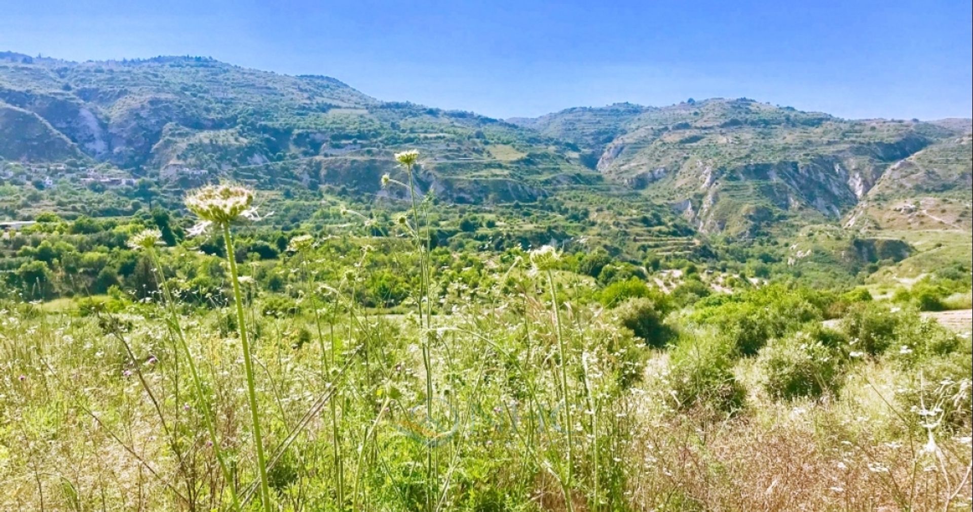 Land in Giolou, Paphos 10906535