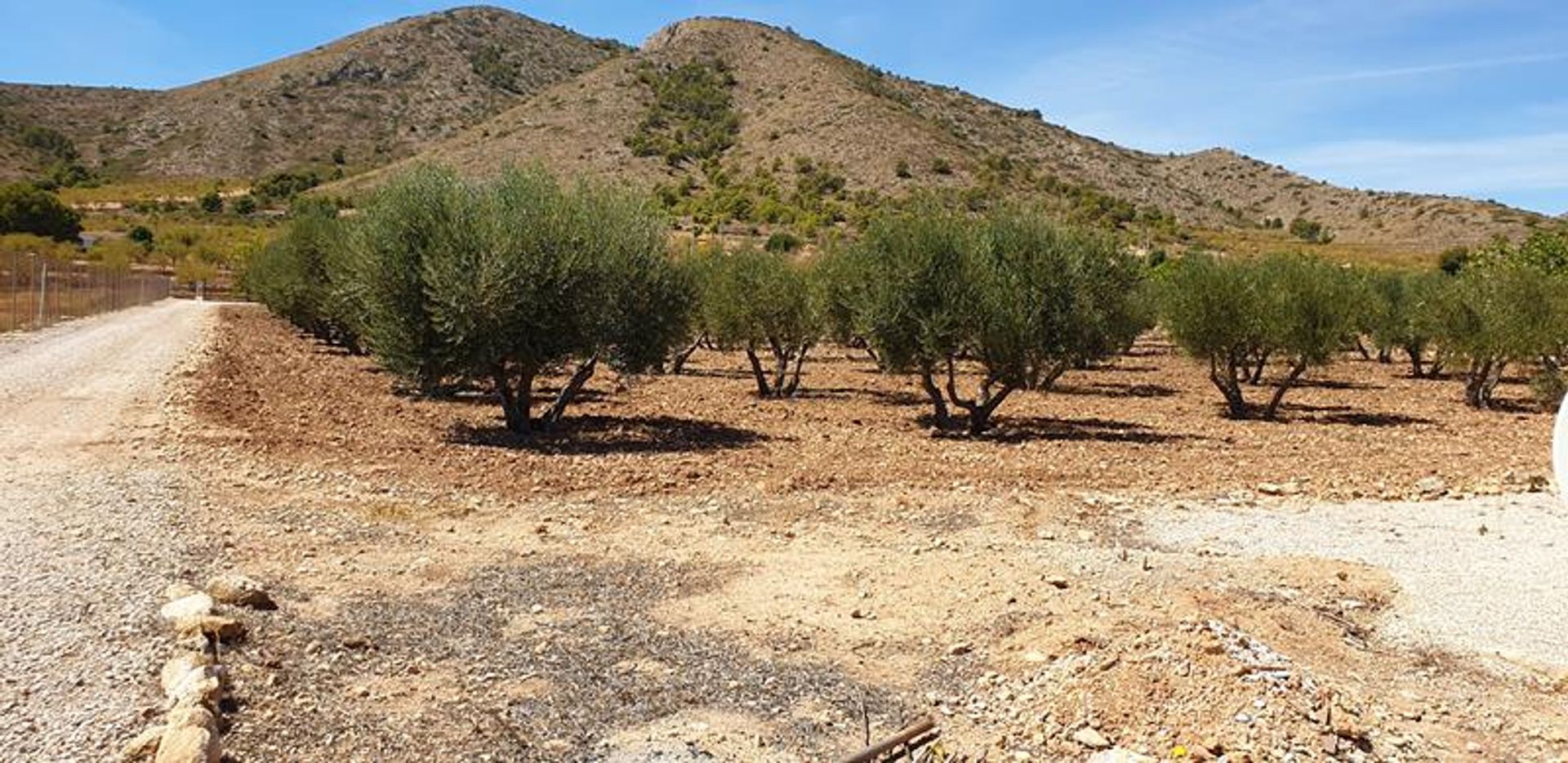 Hus i El Fondó de les Neus, Valencian Community 10906743