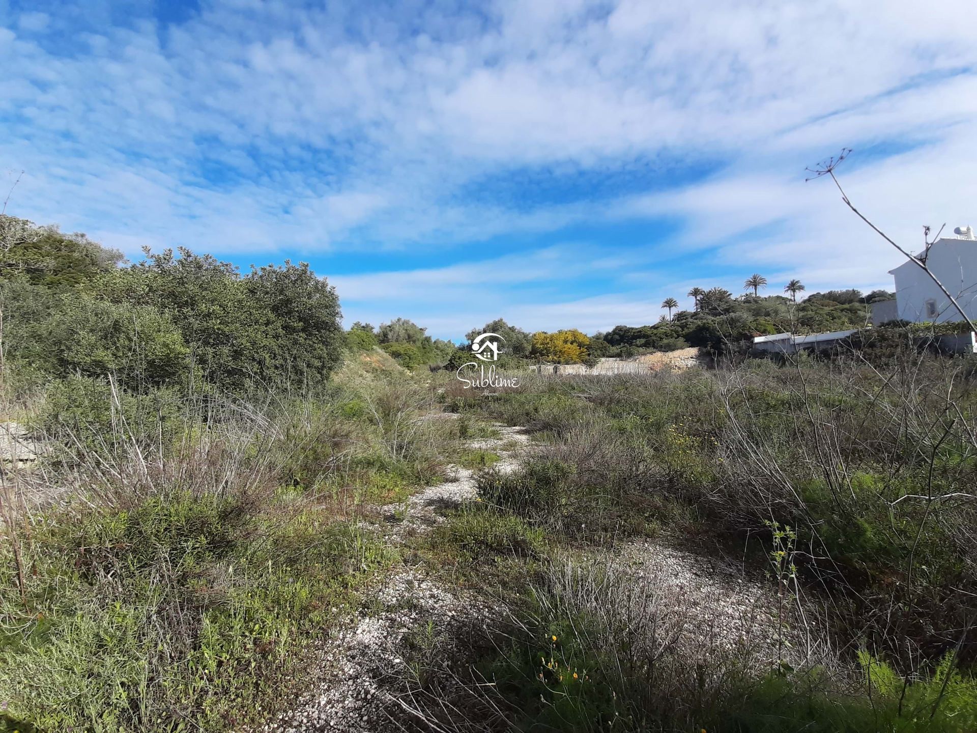 Land in Luz, Faro 10906904