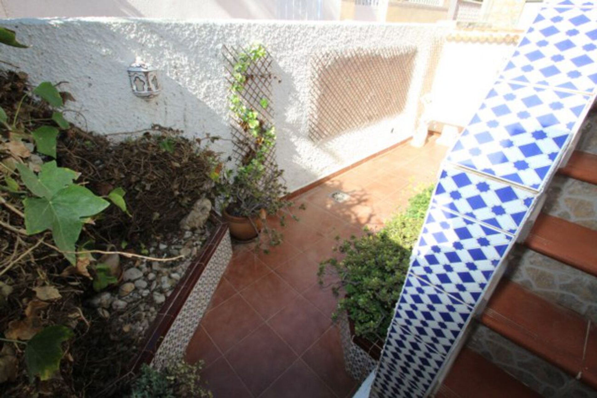 casa en San Miguel de Salinas, Comunidad Valenciana 10907542