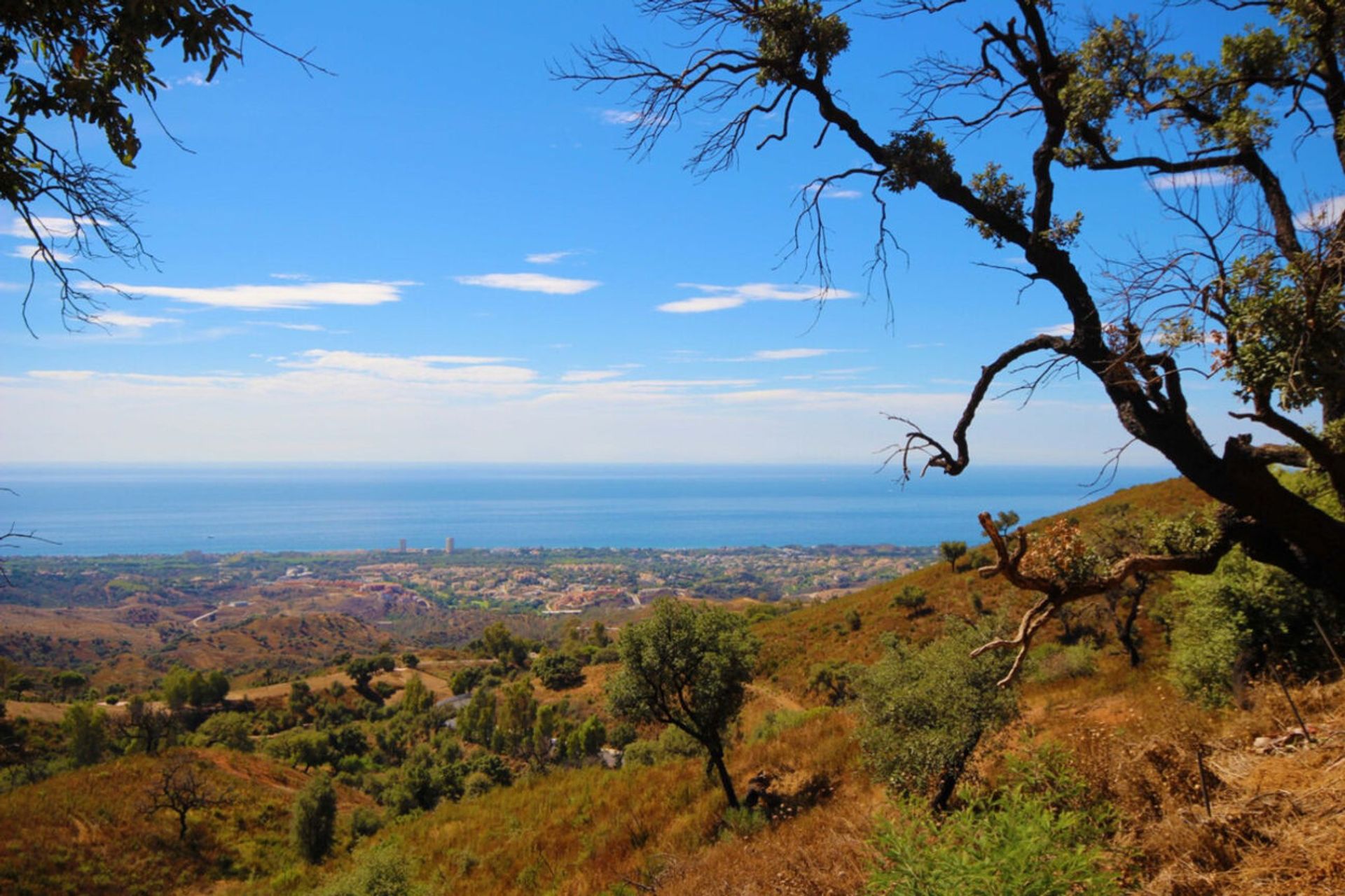 Perindustrian dalam Ojen, Andalusia 10907665