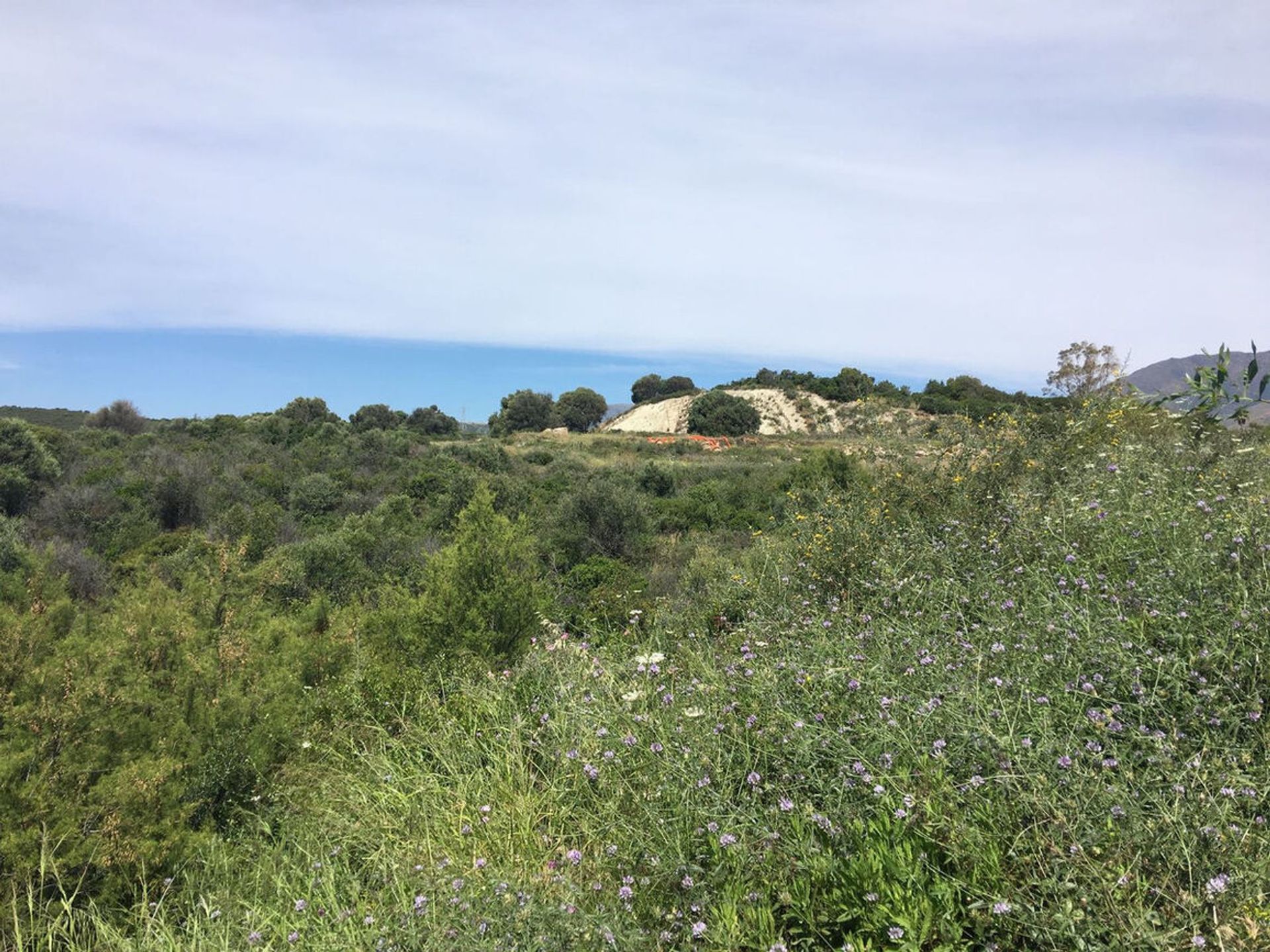 Land in Estepona, Andalucía 10907755