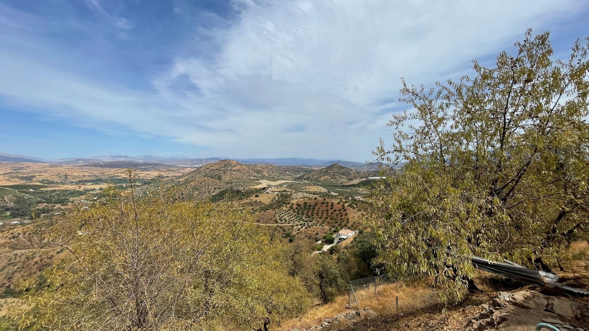 Hus i Guaro, Andalucía 10909895