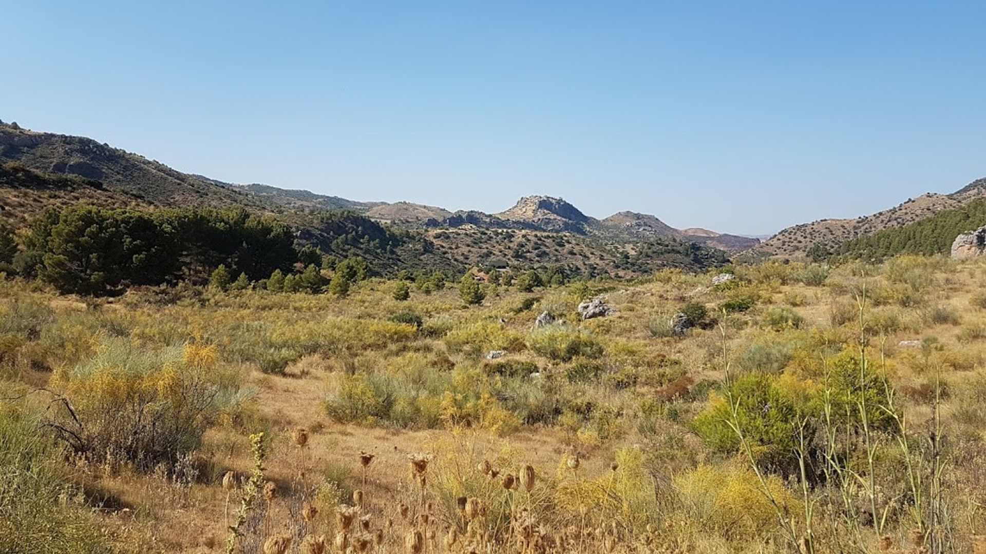 Huis in Ardales, Andalucía 10909898