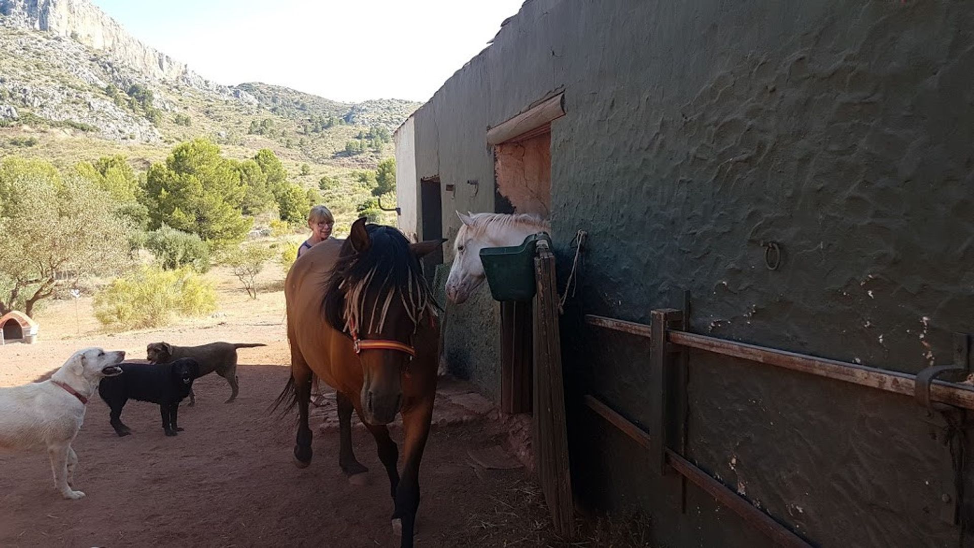 Rumah di Ardales, Andalucía 10909898