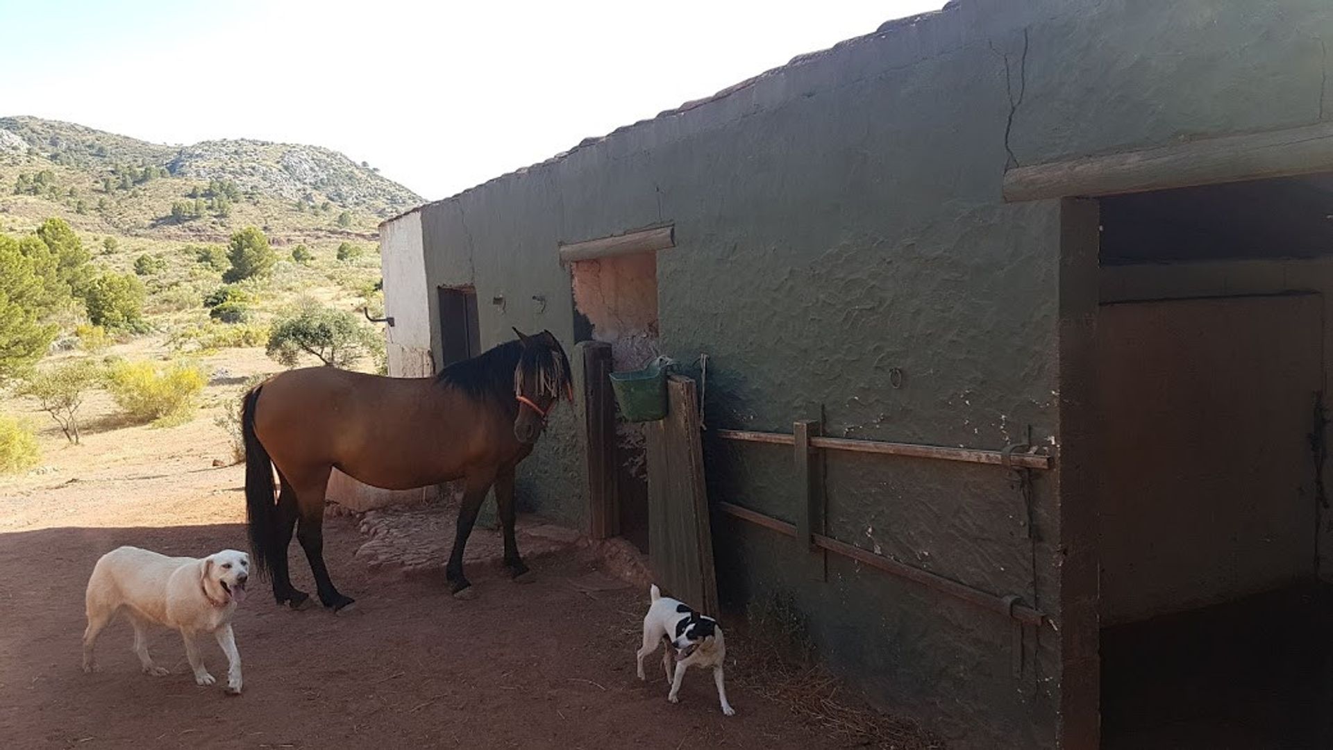 Hus i Ardales, Andalucía 10909898