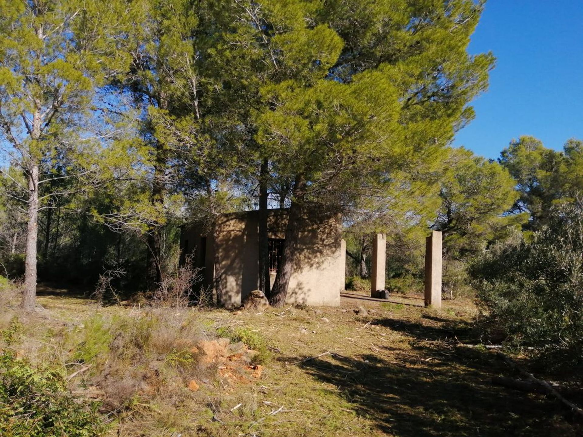 Land in Alcalalí, Comunidad Valenciana 10910301