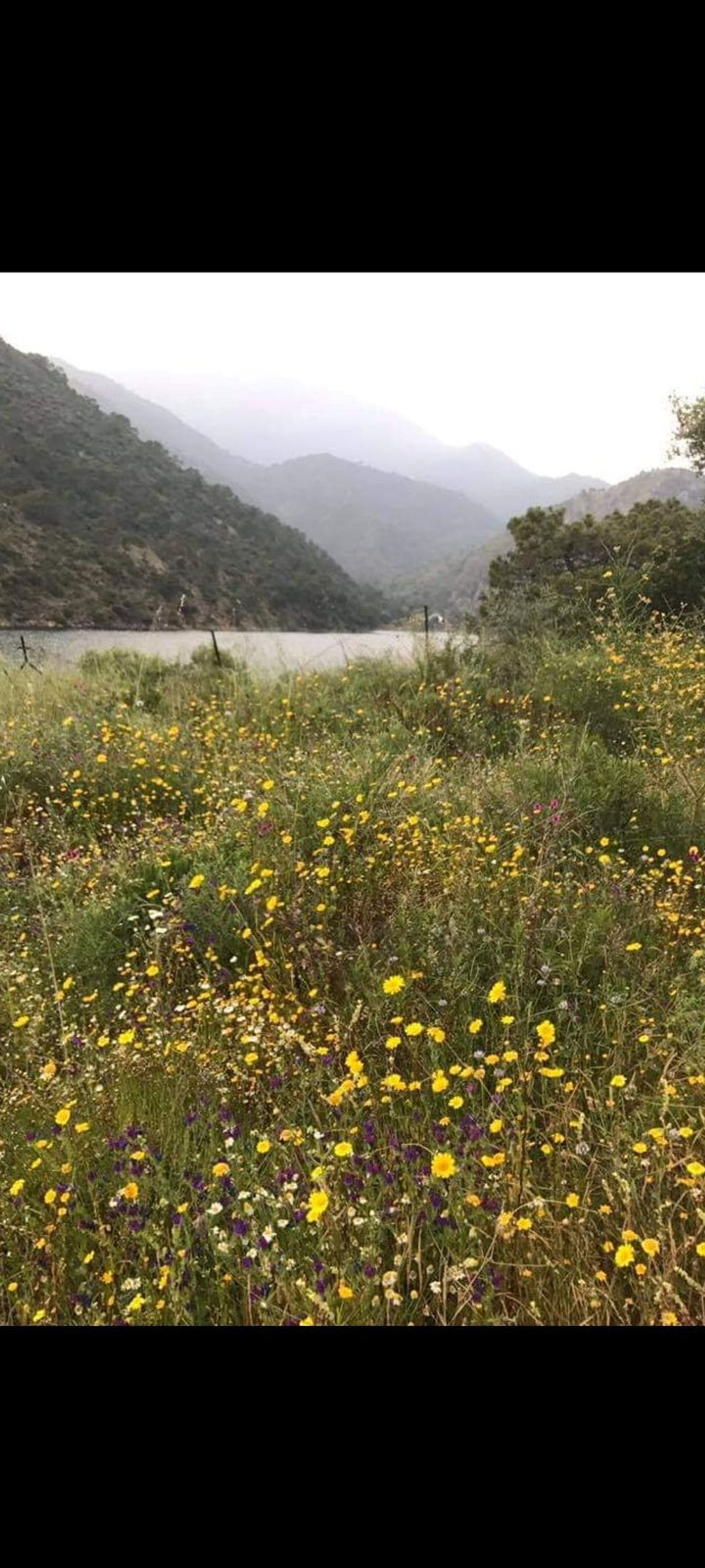 жилой дом в Istán, Andalucía 10910987