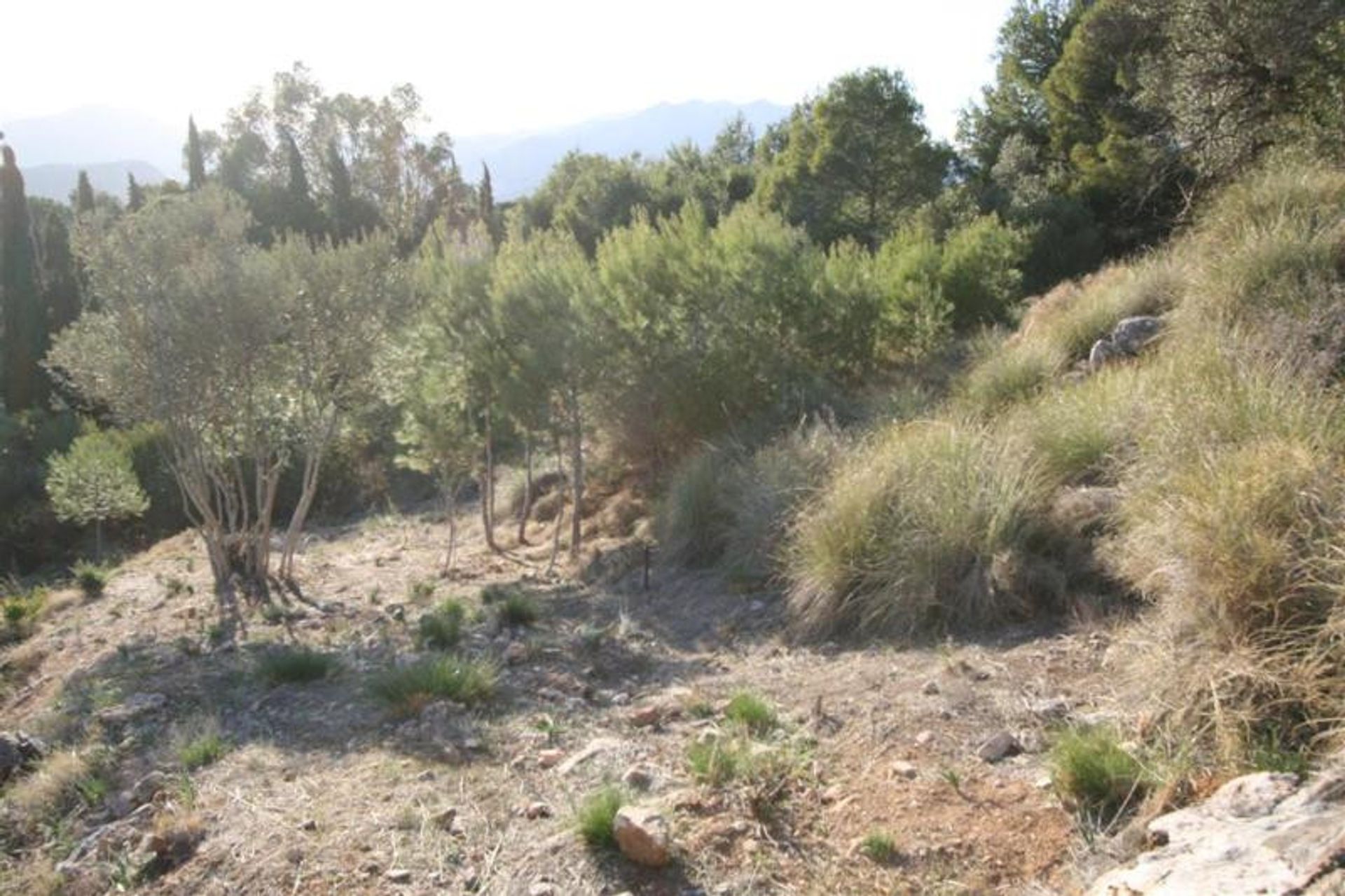 Tierra en Alhaurín el Grande, Andalucía 10911165