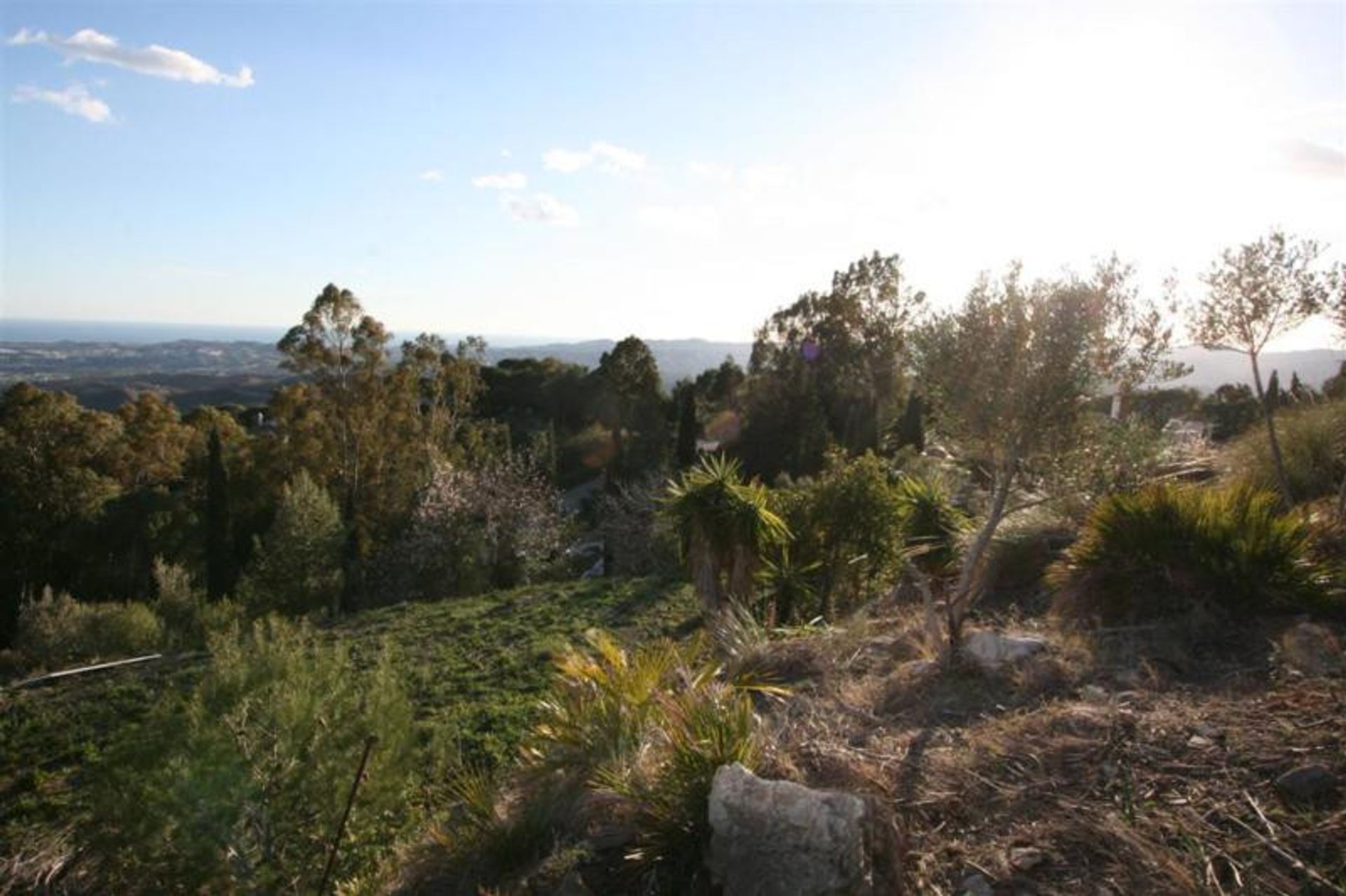 Tierra en Alhaurín el Grande, Andalucía 10911165