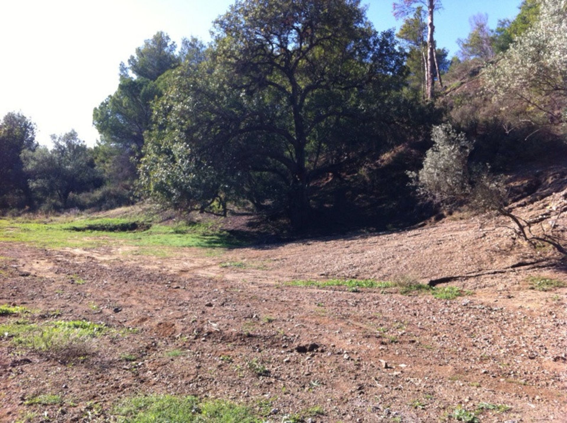 Land in Mijas, Andalusië 10911166