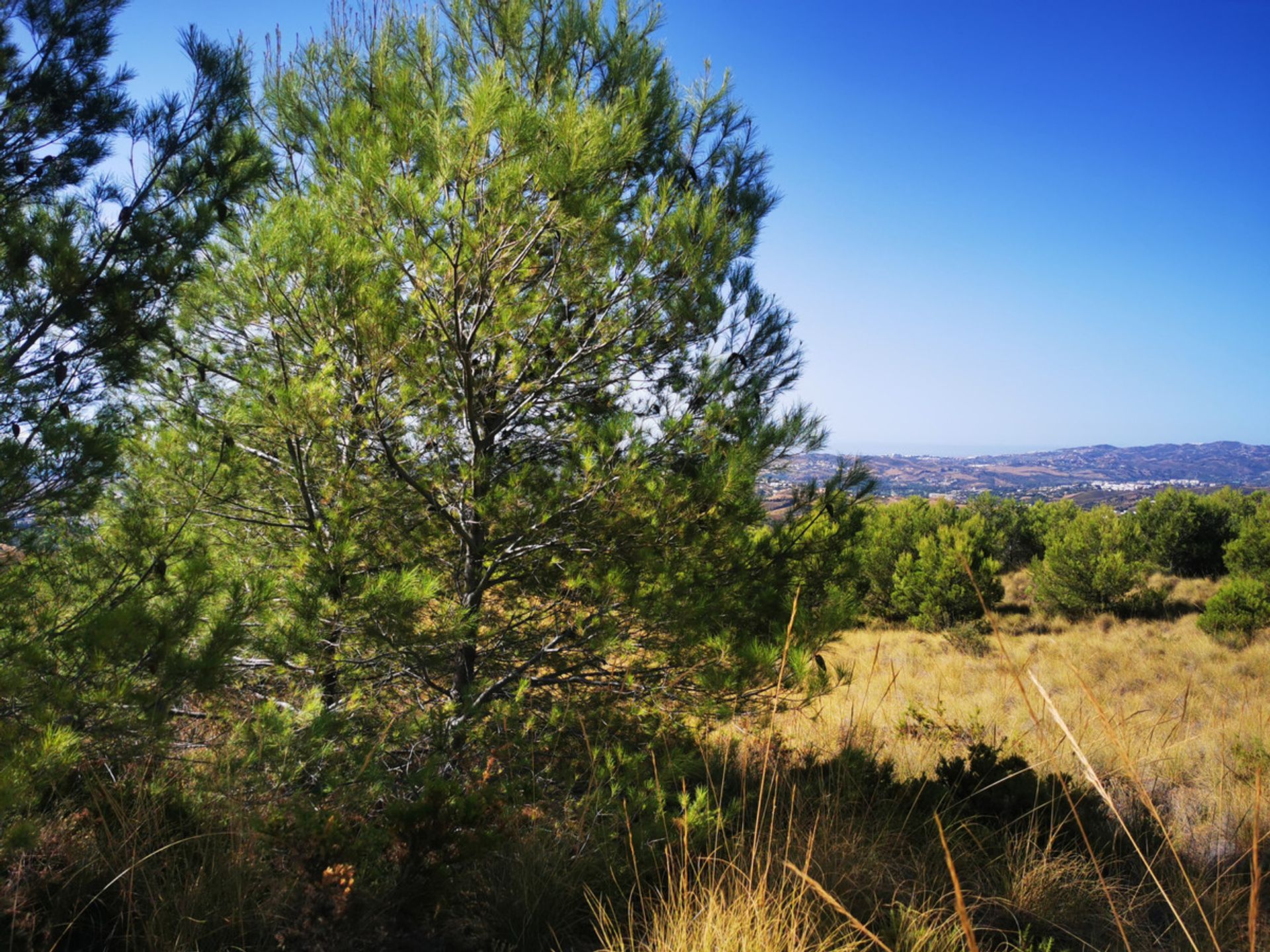 Γη σε Mijas, Andalucía 10911397