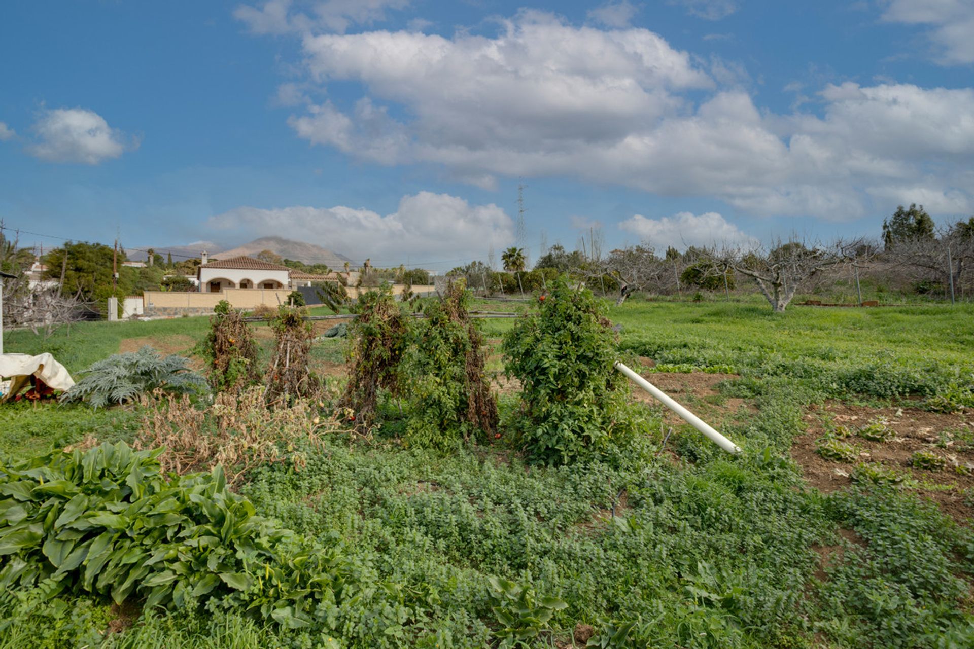 Casa nel Estepona, Andalucía 10911589