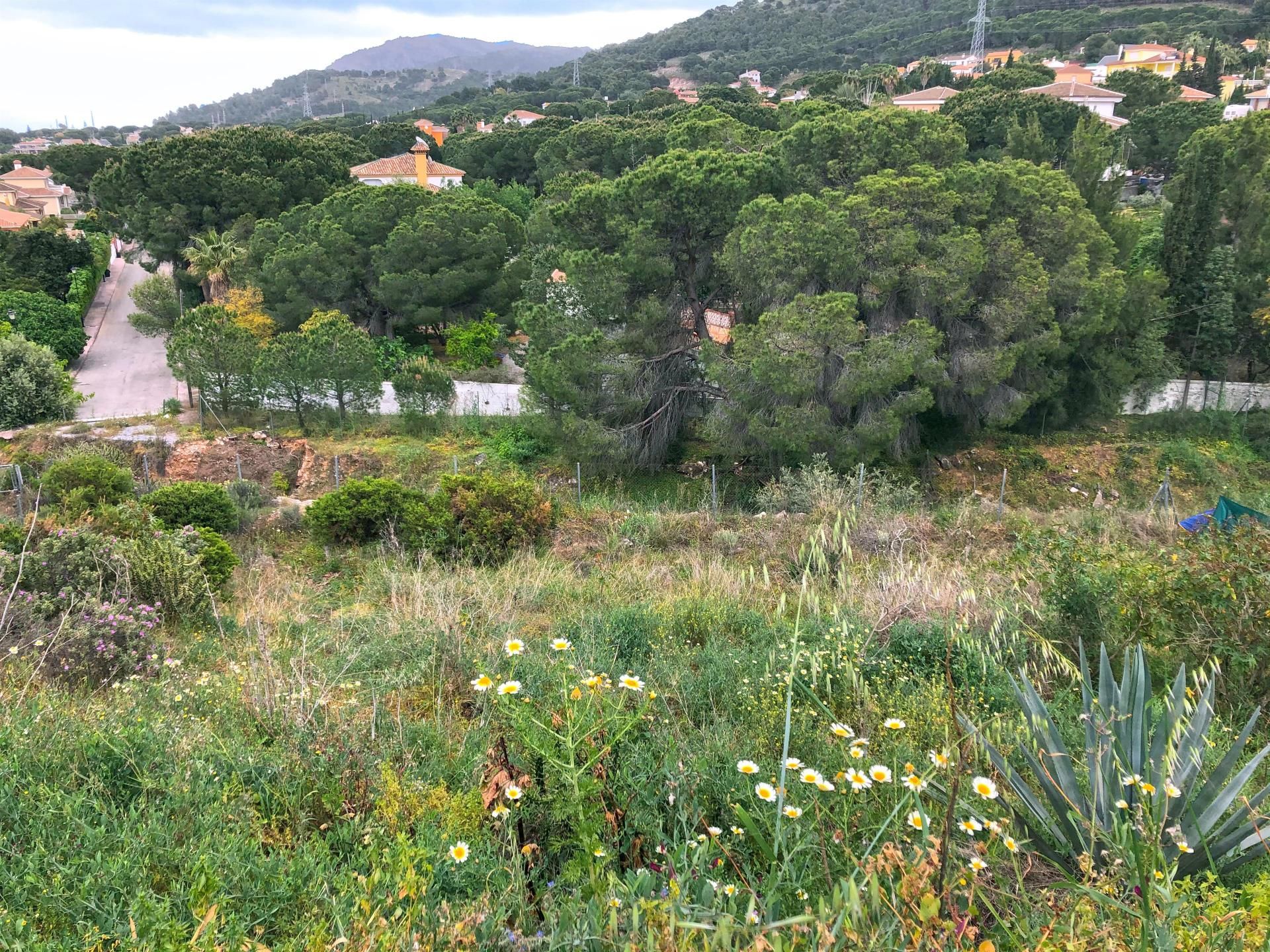 房子 在 Alhaurín de la Torre, Andalucía 10911737