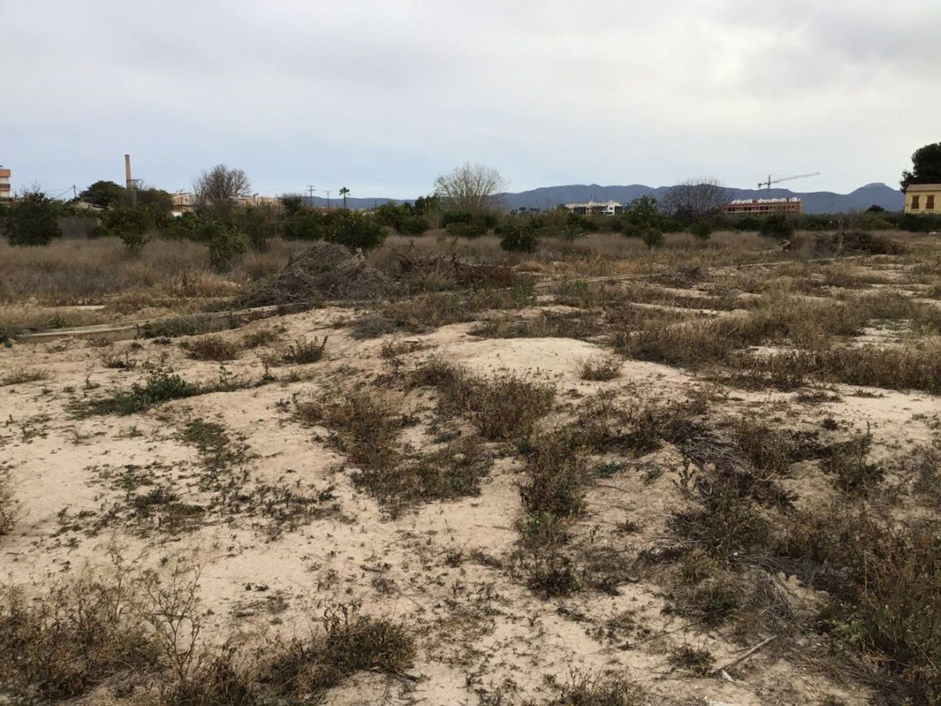 Tanah di Jabali Nuevo, Murcia 10911943