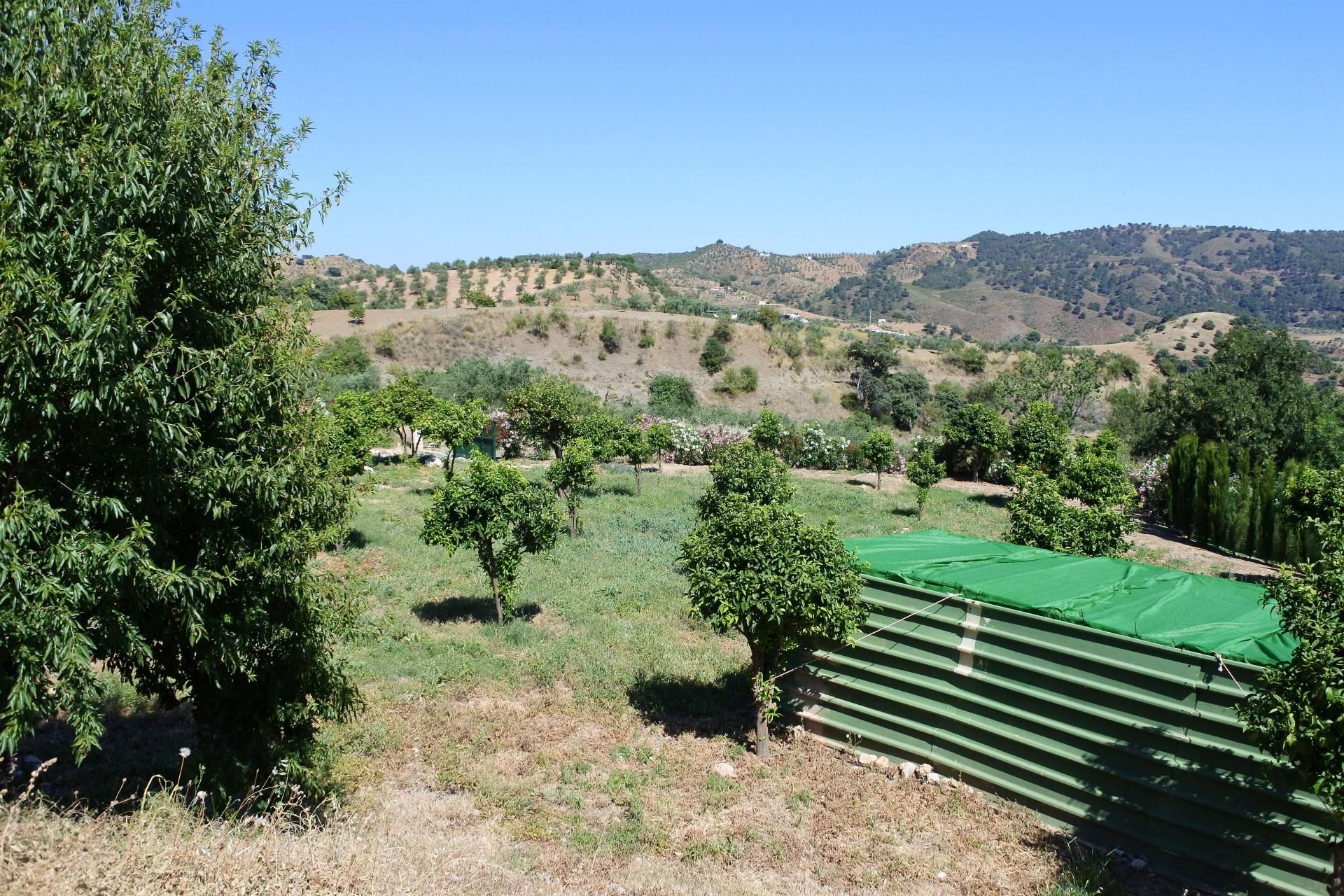 Hus i Casarabonela, Andalucía 10913389