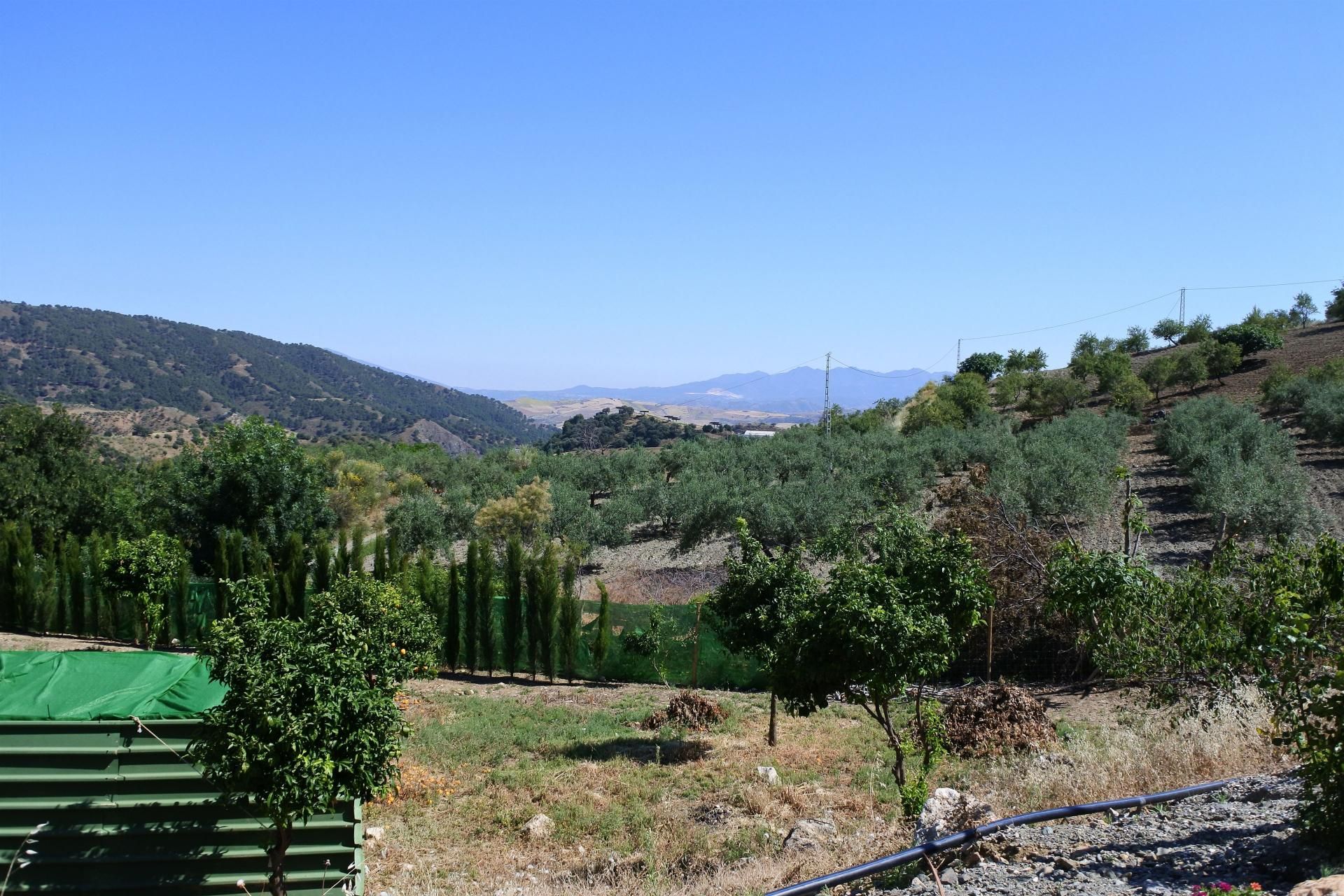 Hus i Casarabonela, Andalucía 10913389