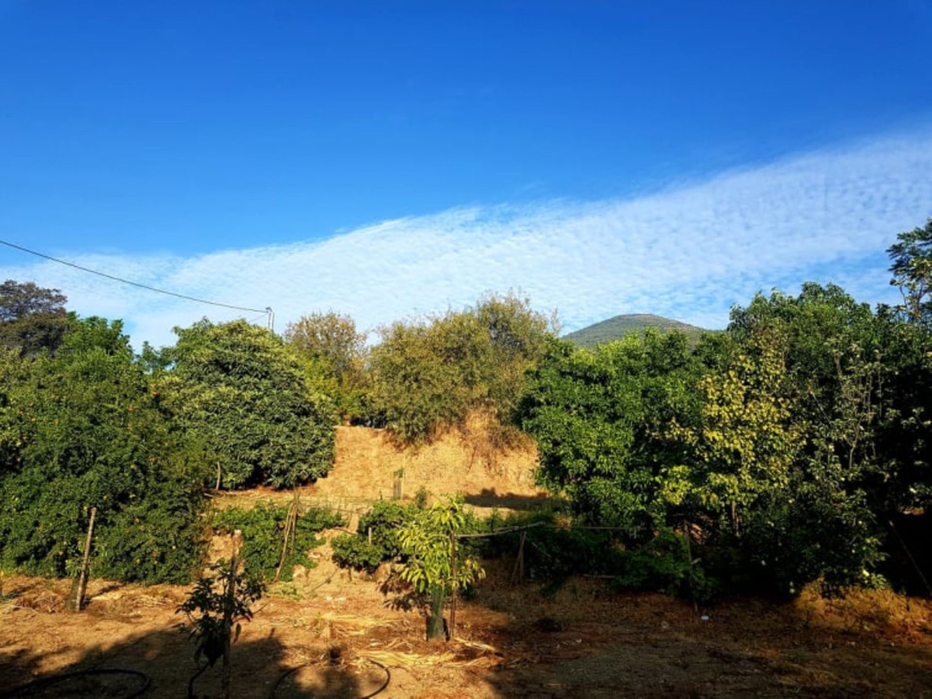 Talo sisään Alhaurin el Grande, Andalusia 10913463