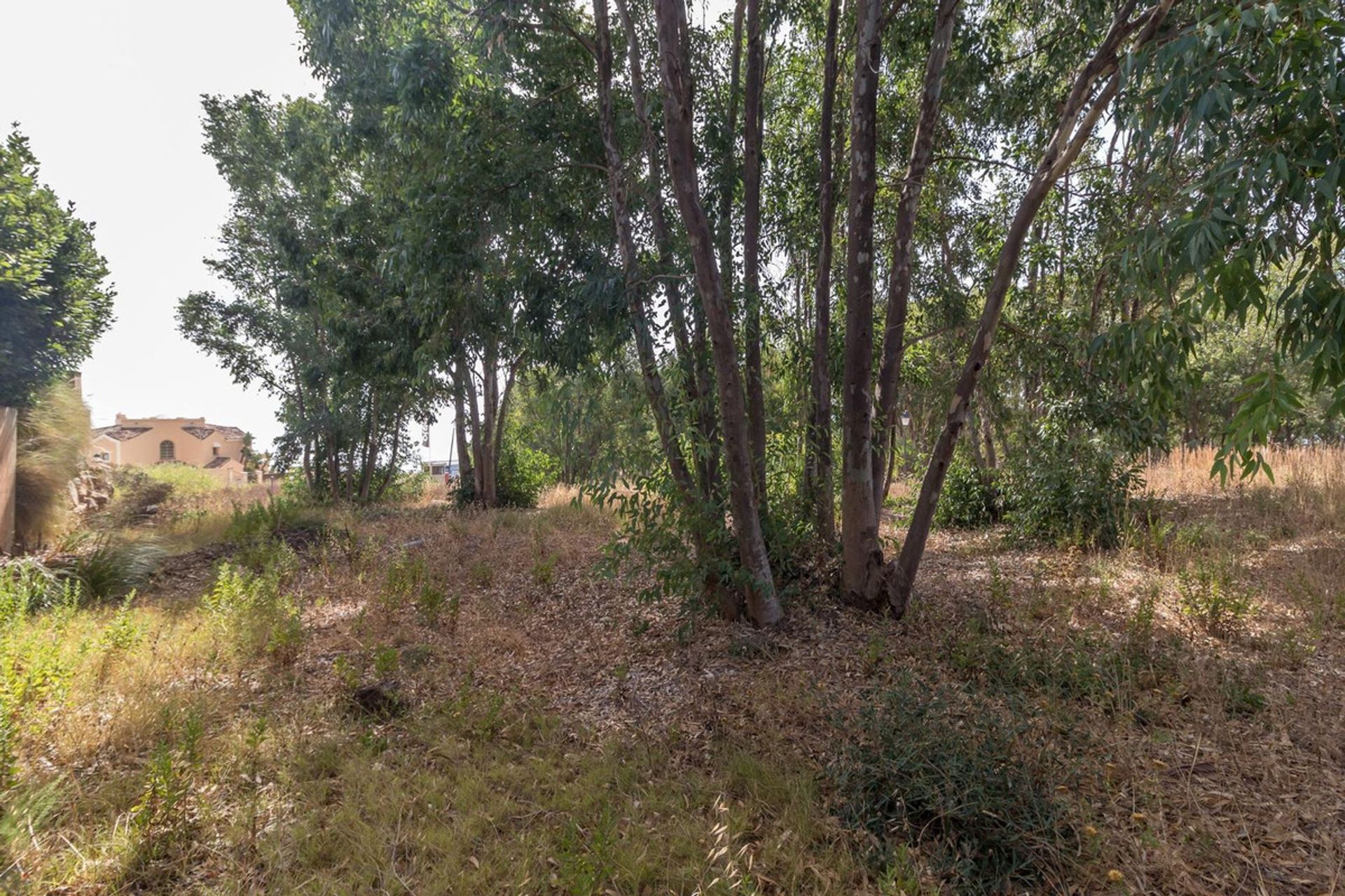 Land in Manilva, Andalucía 10913515